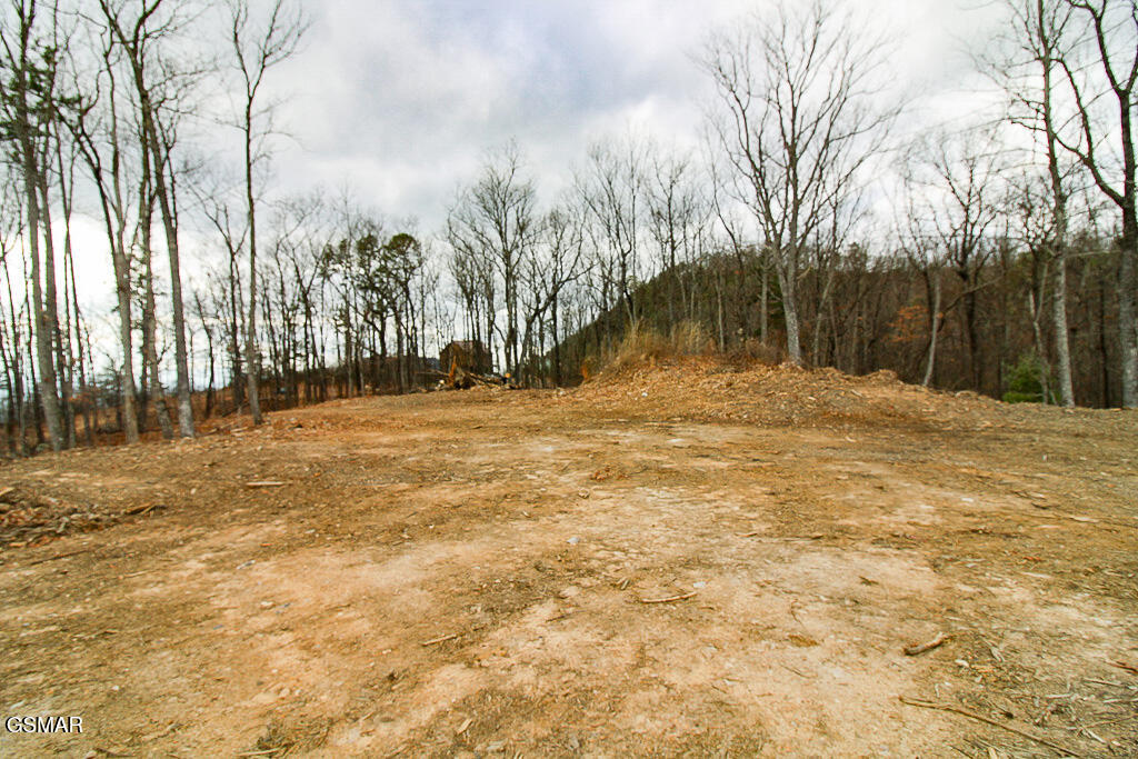 Sevierville, Tennessee, 37876, United States, ,Land,For Sale,2008093