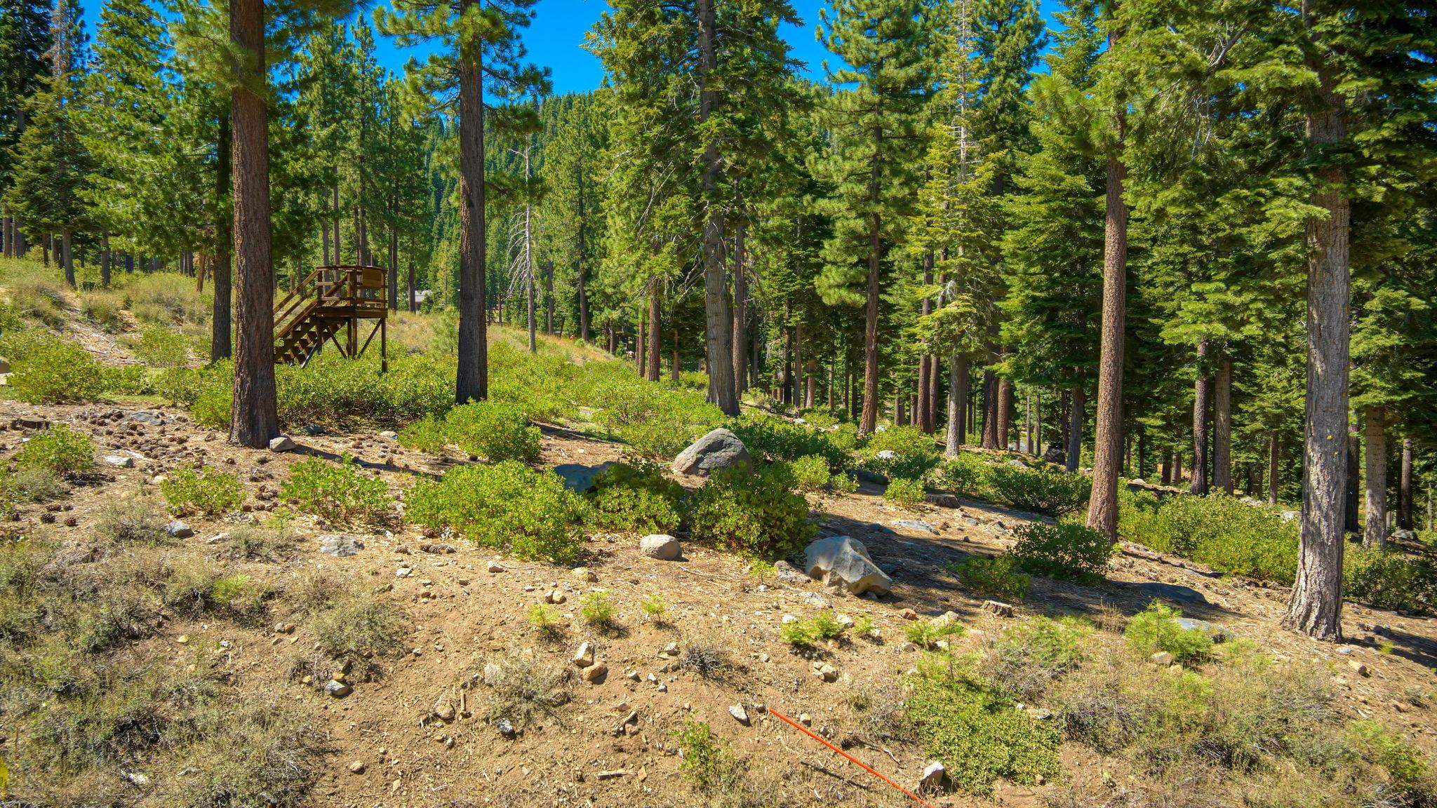 Truckee, California, 96161, United States, ,Land,For Sale,1999016