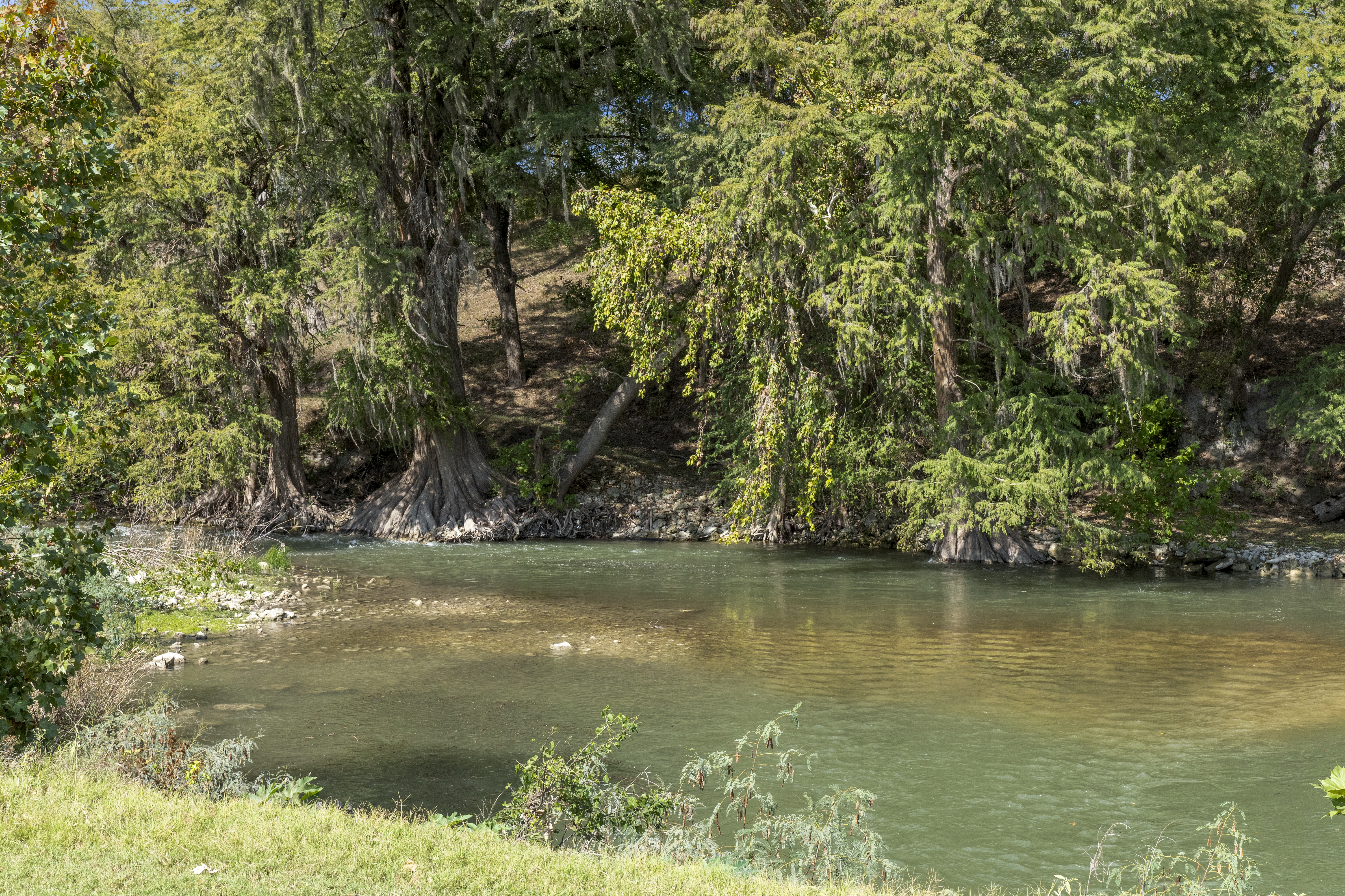  River Retreat at Spring Branch - 物件實景