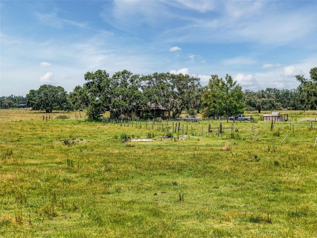 Myakka City, Florida, 34251, United States, ,Land,For Sale,1908306