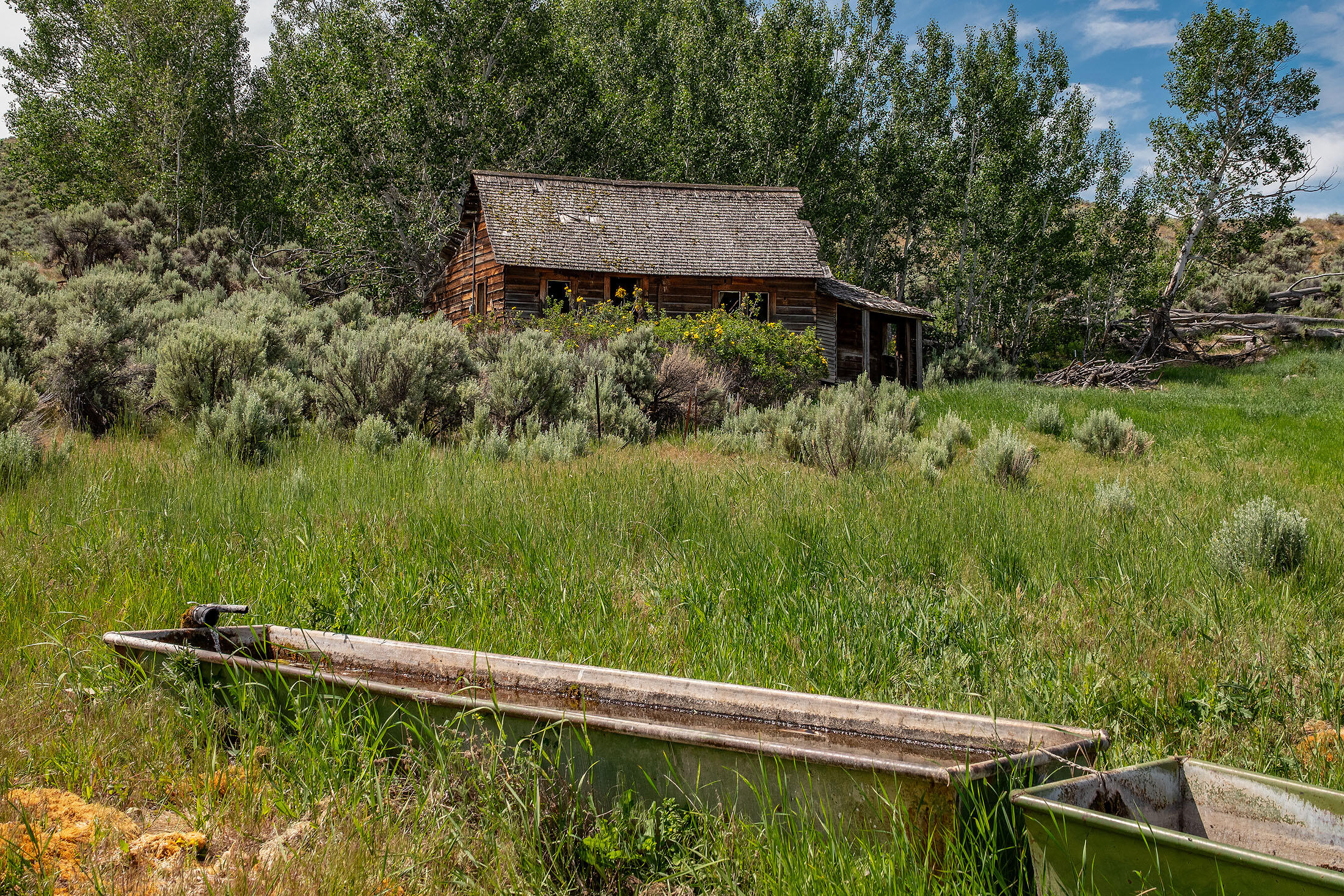 Tl 3700 Suplee Highway, Paulina, Oregon, 97751, United States, ,Land,For Sale,Tl 3700 Suplee Highway,1511106