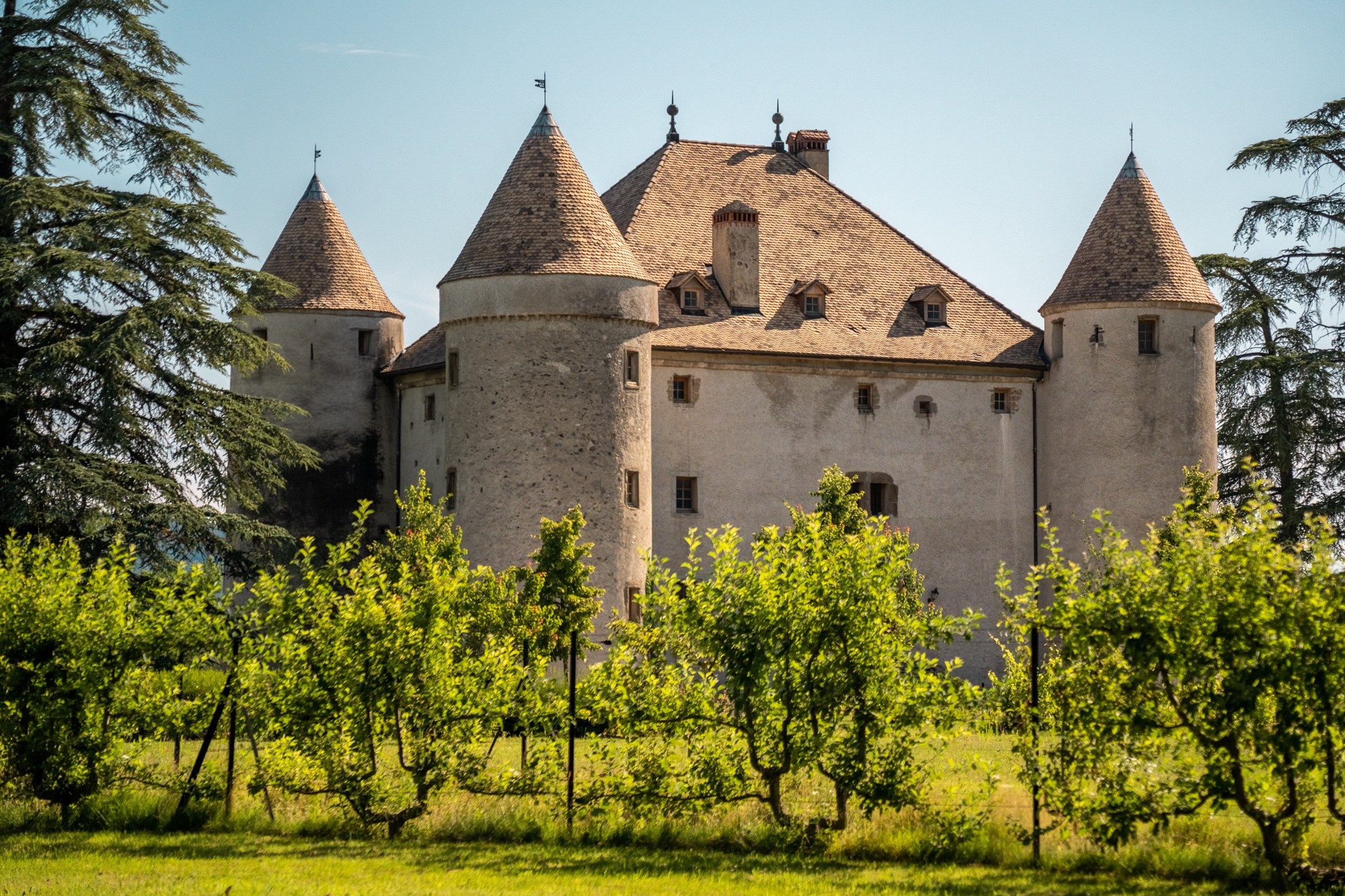  Castle at the Gates of Geneva - 物件實景