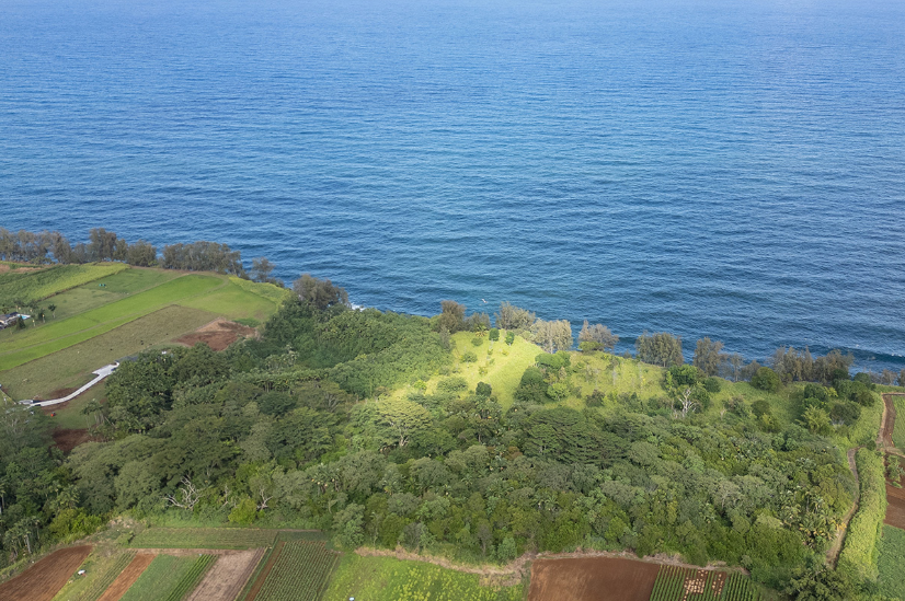 Pepeekeo, Hawaii, 96783, United States, ,Land,For Sale,1978999