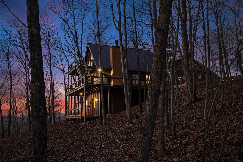 Mineral Bluff, Georgia, 30559, United States, 3 Bedrooms Bedrooms, ,3 BathroomsBathrooms,Residential,For Sale,2006593