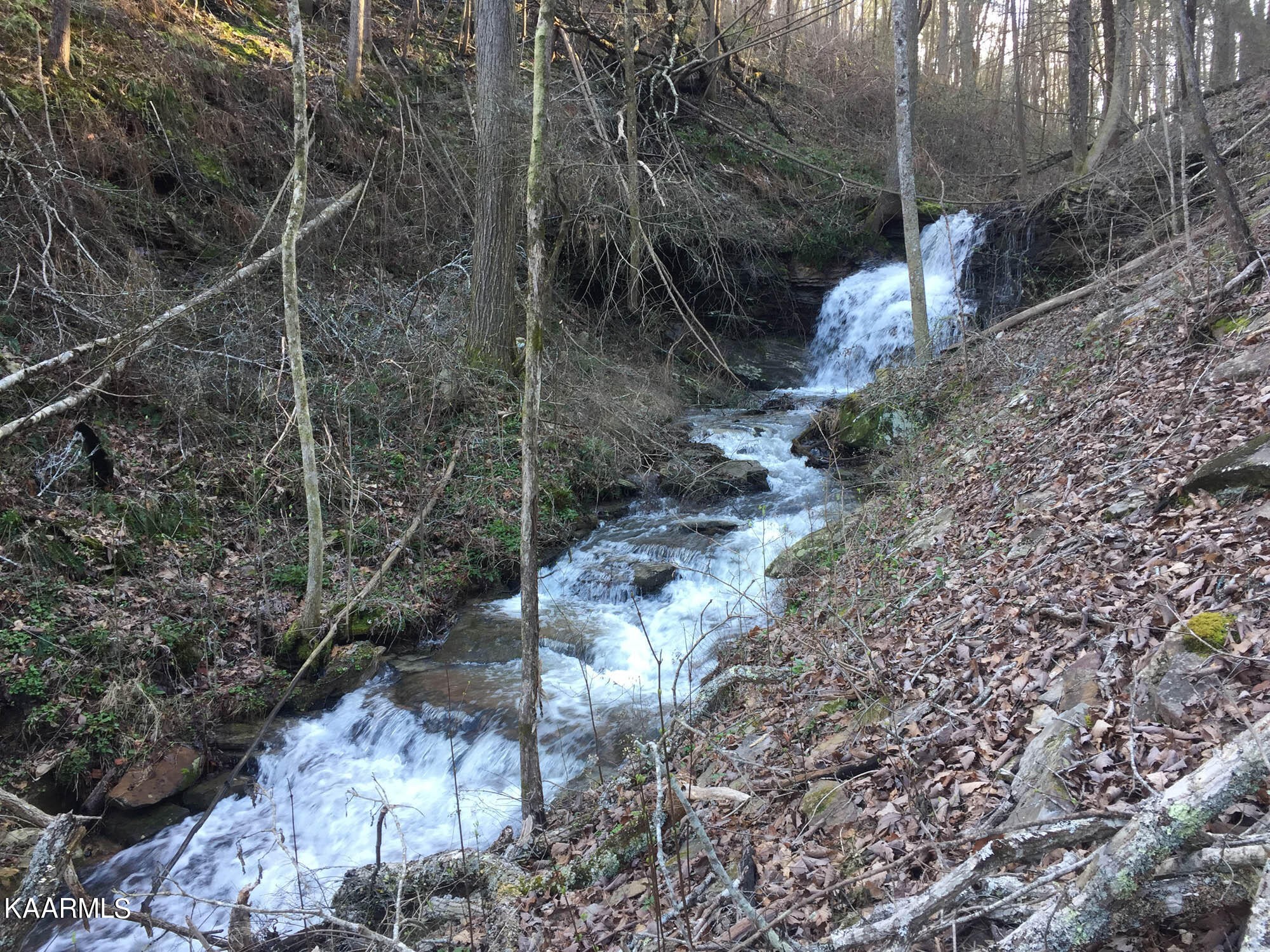 Pikeville, Tennessee, 37367, United States, ,Residential,For Sale,1943070