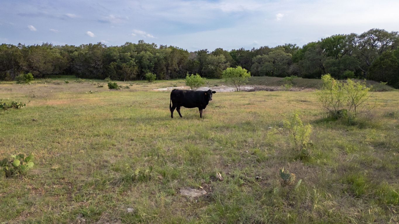 Lampasas, Texas, 76550, United States, ,Residential,For Sale,1907758