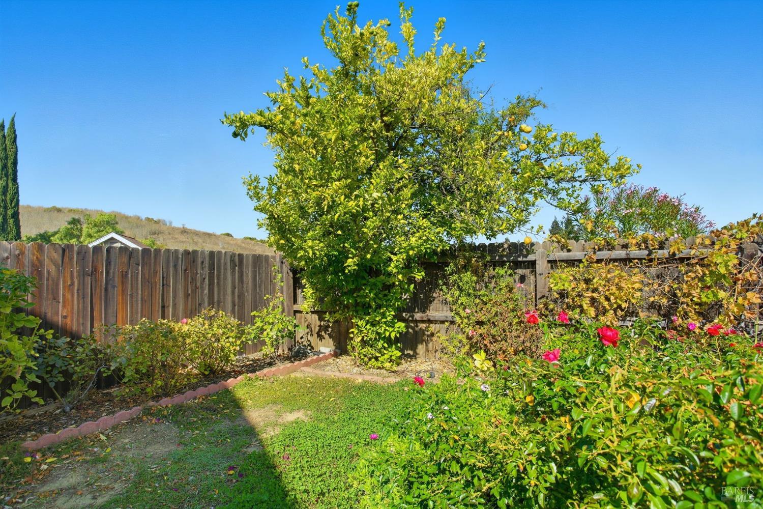 Fairfield, California, 94534, United States, 4 Bedrooms Bedrooms, ,3 BathroomsBathrooms,Residential,For Sale,1970251