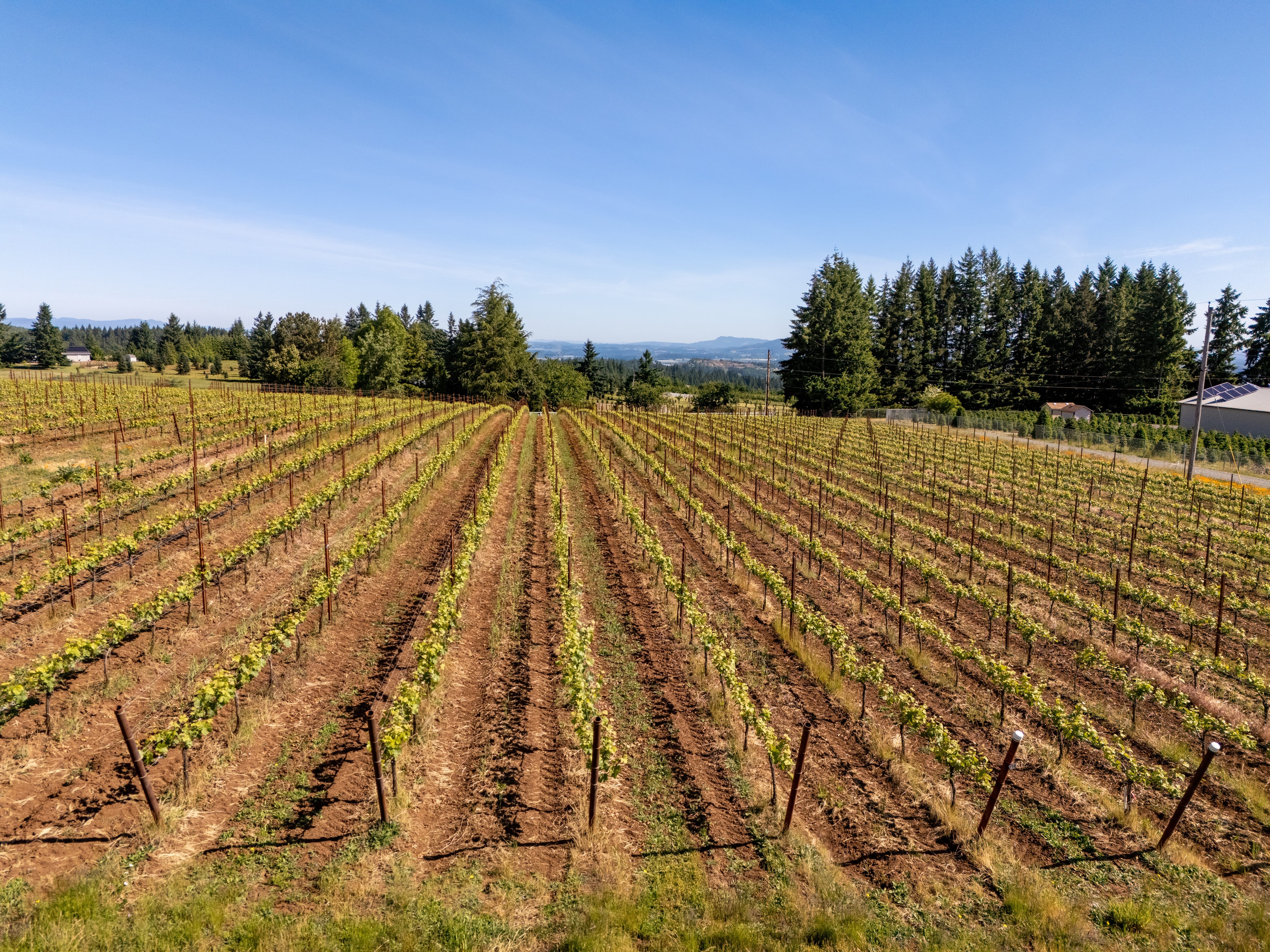  20700 SE CHERRY BLOSSOM LN Amity, OR 97101 - 物件實景