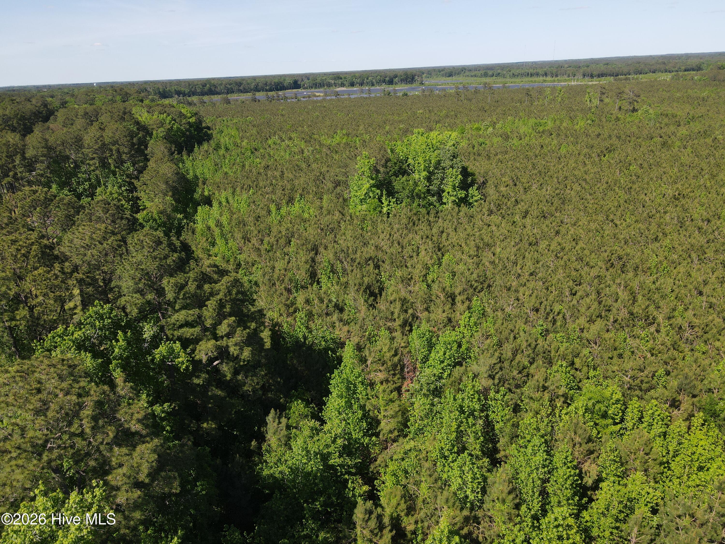Ahoskie, North Carolina, 27910, United States, ,Land,For Sale,2048833