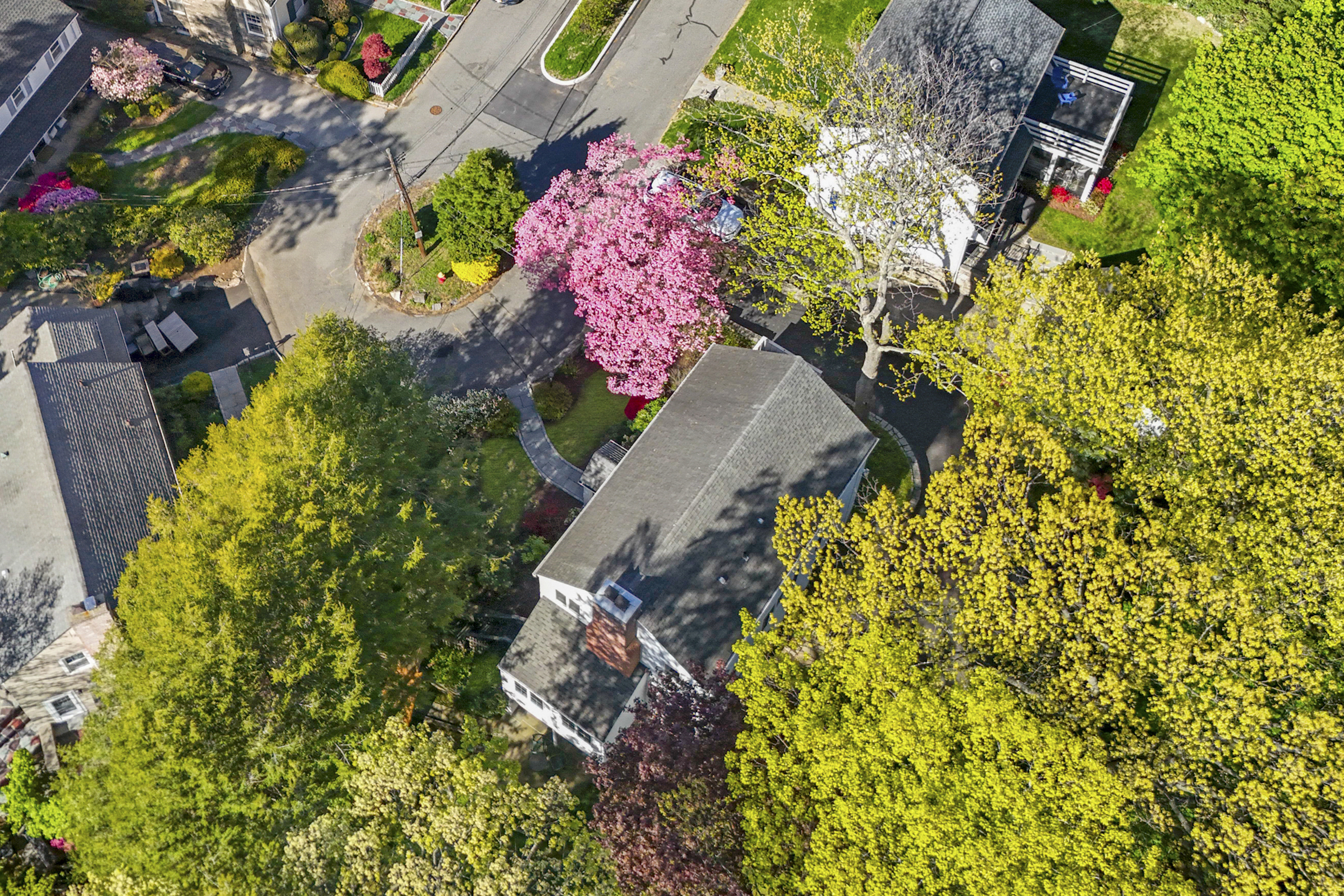  Beauty in Bronxville - 物件實景