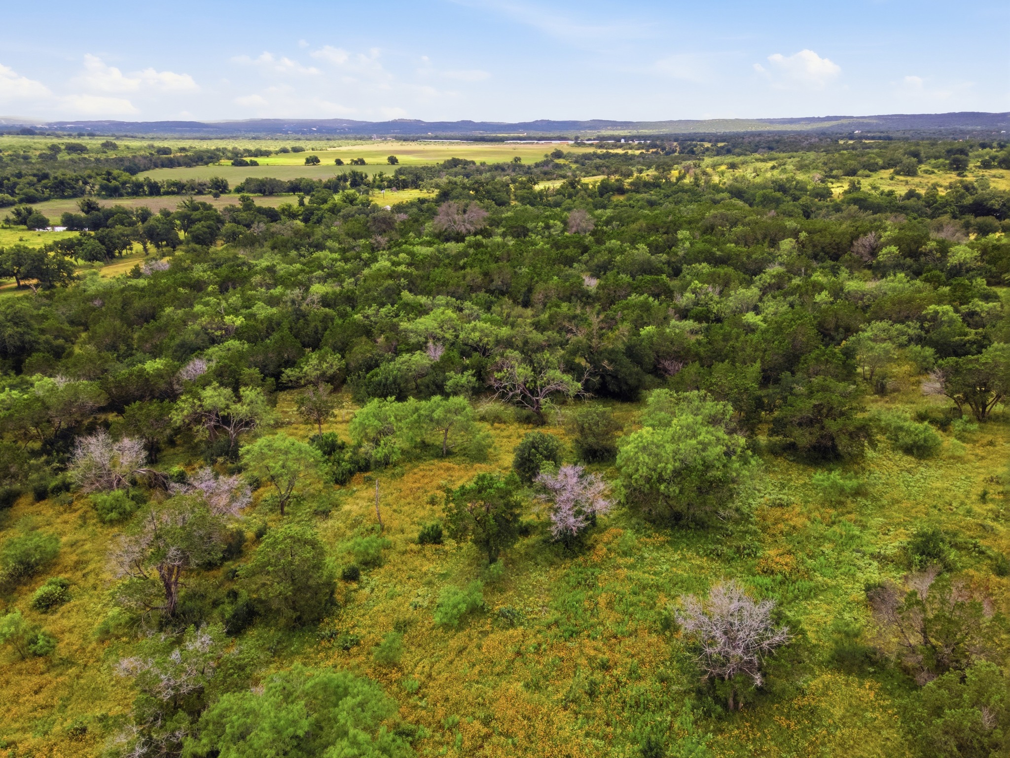  16 Acres in Spicewood - 物件實景