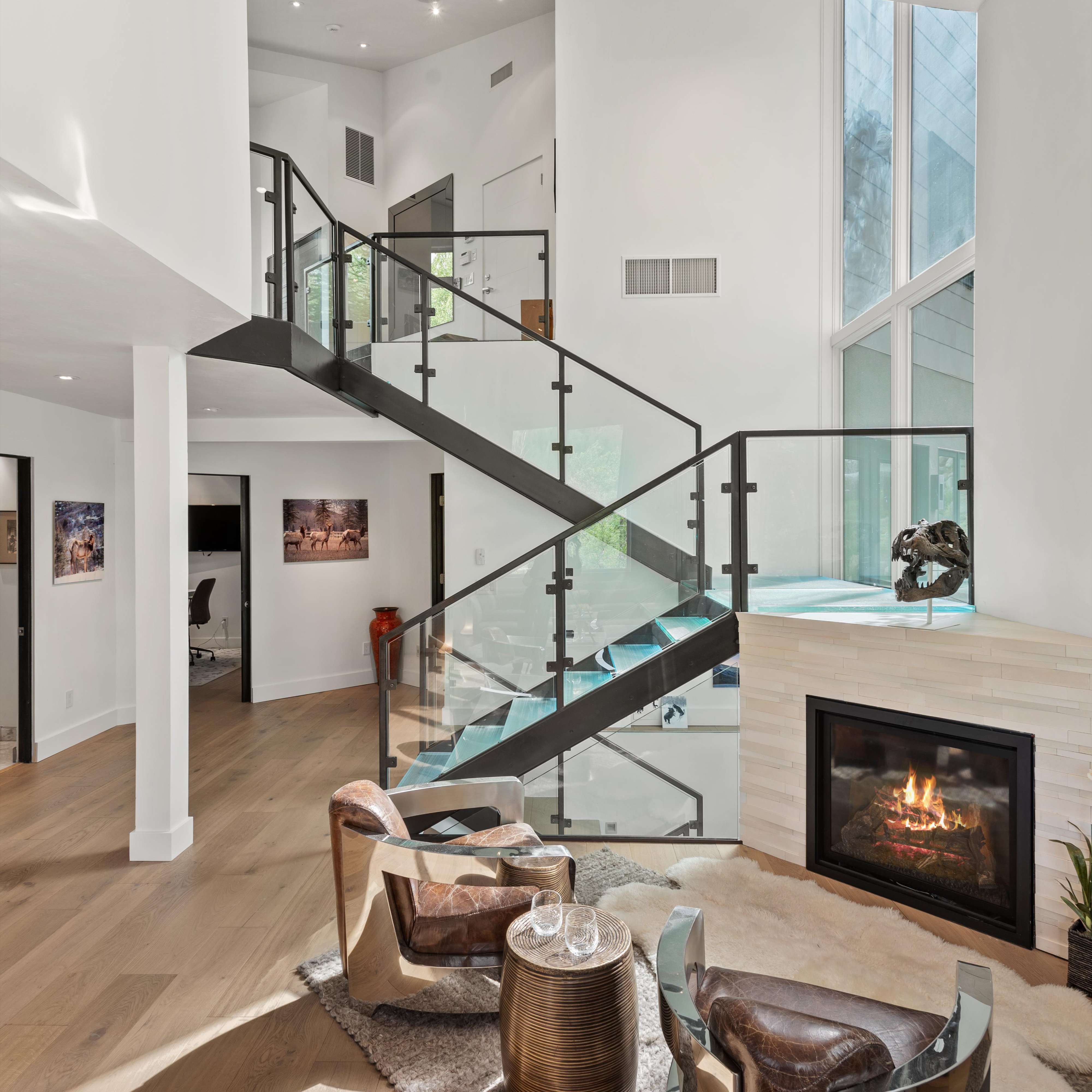  257 Mountain Laurel Drive, Aspen, CO, 81611 - 物件實景