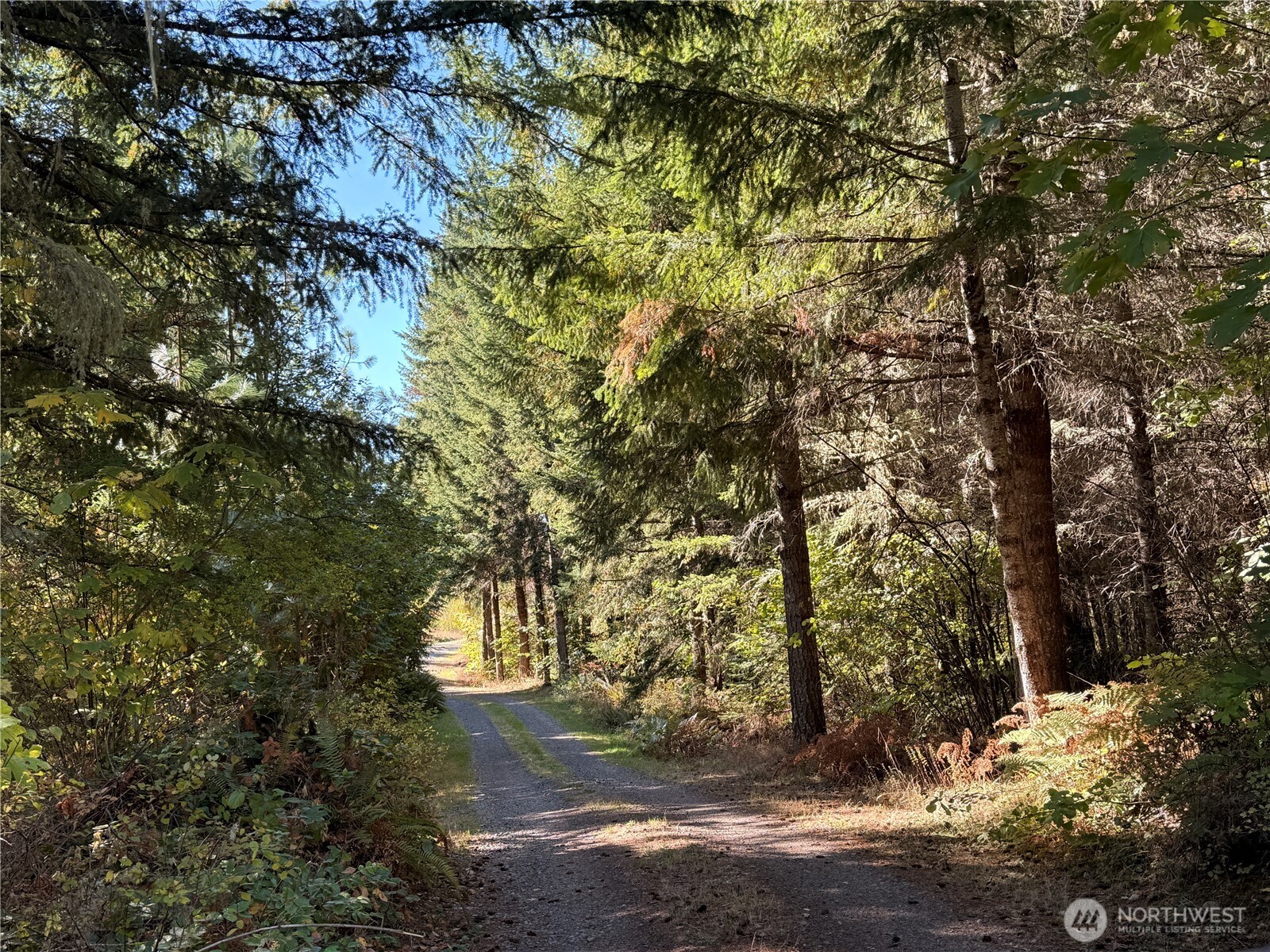 Rainier, Washington, 98576, United States, ,Land,For Sale,1998419