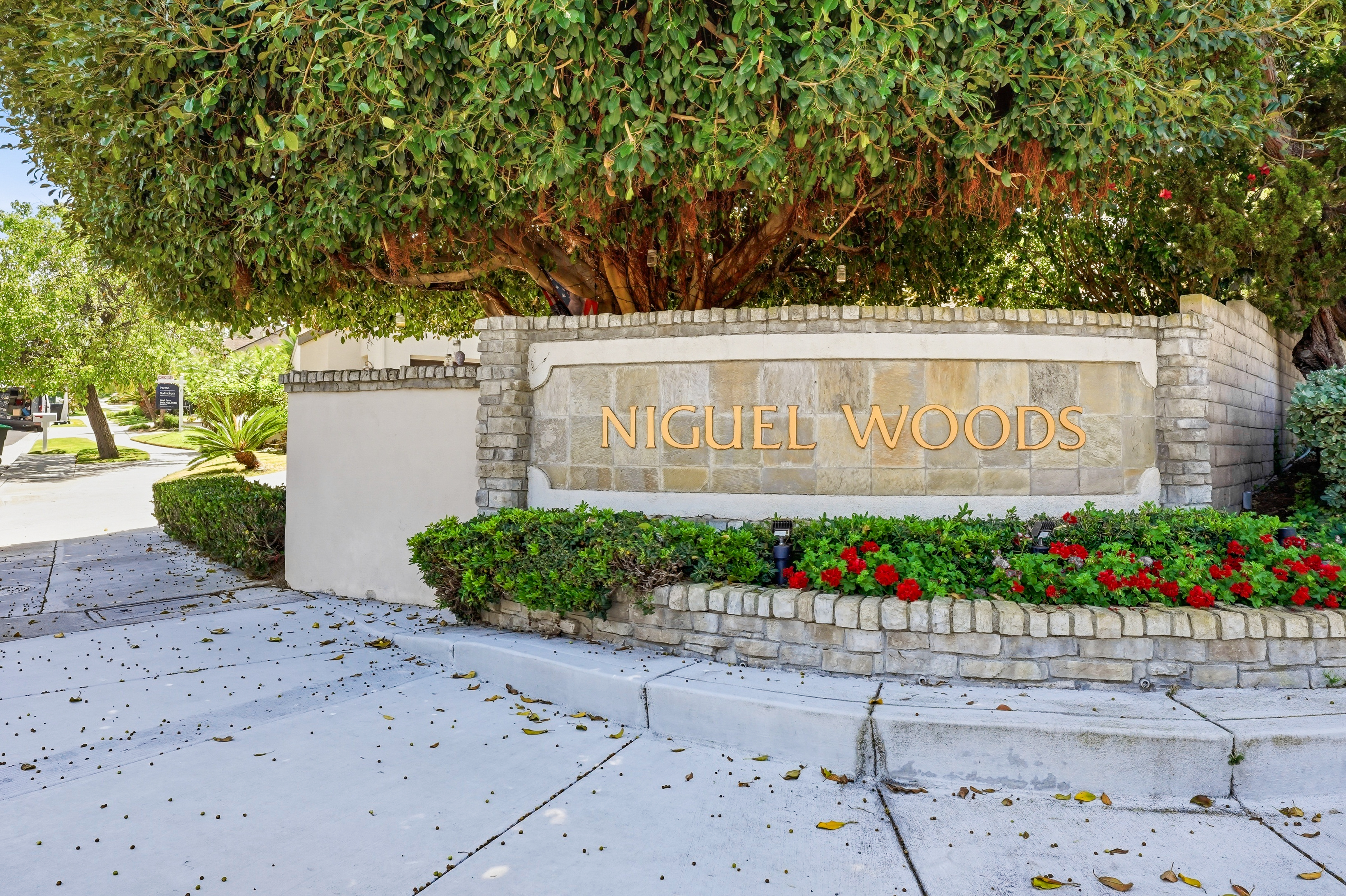  29771 Running Deer Lane, Laguna Niguel, CA 92677 - 物件實景