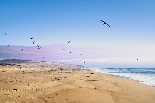 Watsonville, California, 95076, United States, 3 Bedrooms Bedrooms, ,2 BathroomsBathrooms,Residential,For Sale,1971217