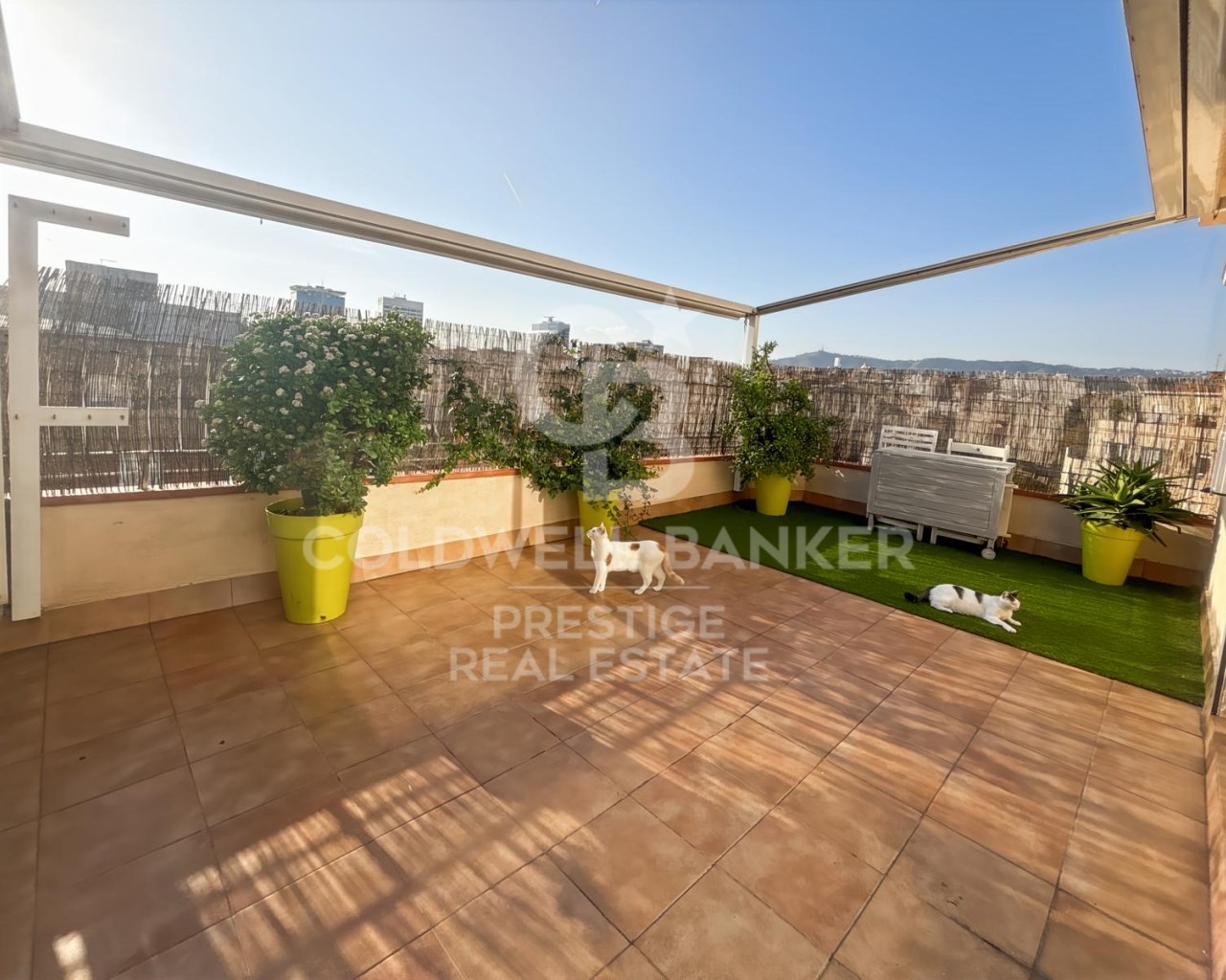 Barcelona, Barcelona, Eixample Barcelona, Barcelon, Barcelona, Catalonia, ES, 3 Bedrooms Bedrooms, ,2 BathroomsBathrooms,Residential,For Sale,Barcelona, Barcelona, Eixample Barcelona, Barcelon,1663325