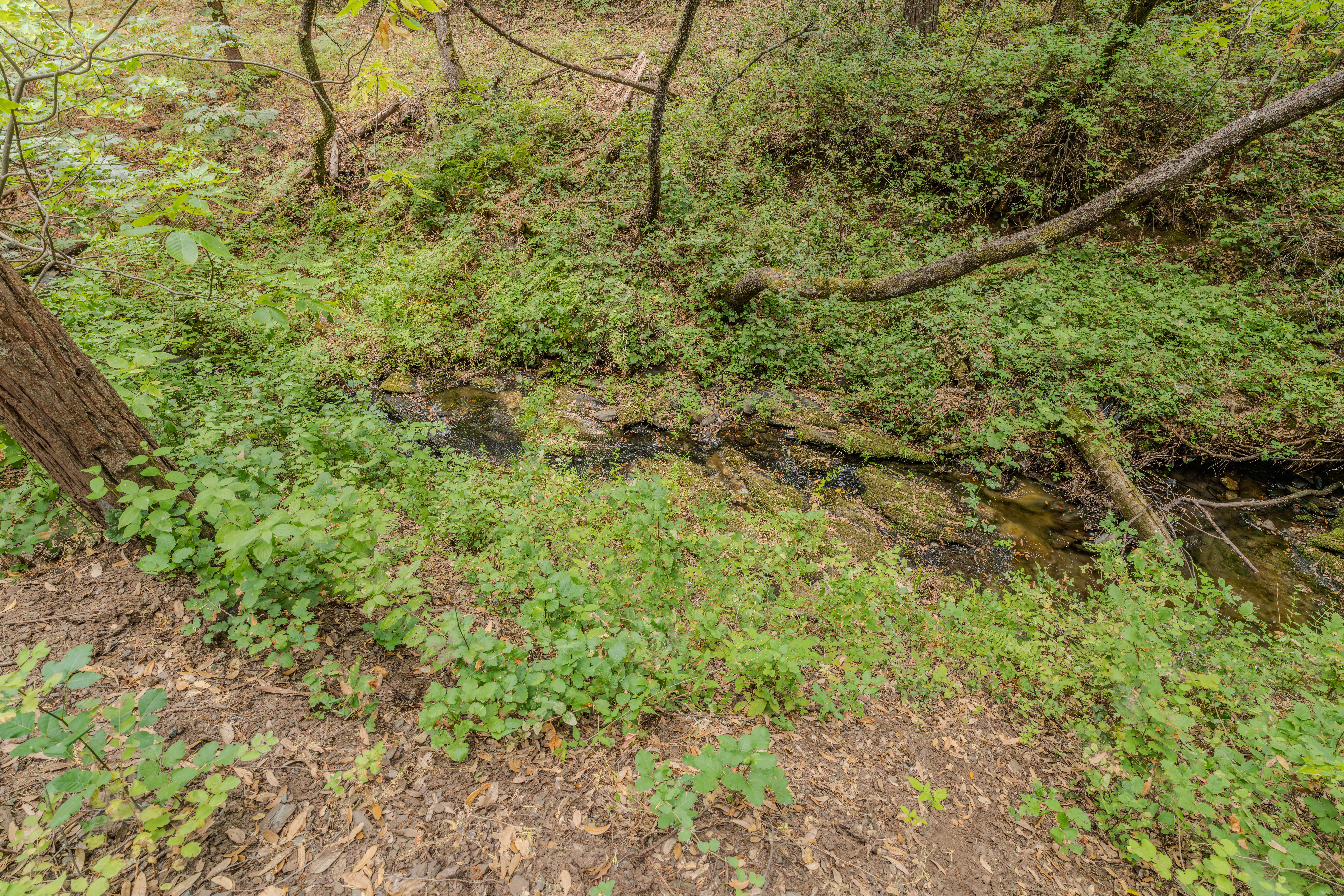  18101 Old River Road, Fiddletown, CA 95629 - 物件實景
