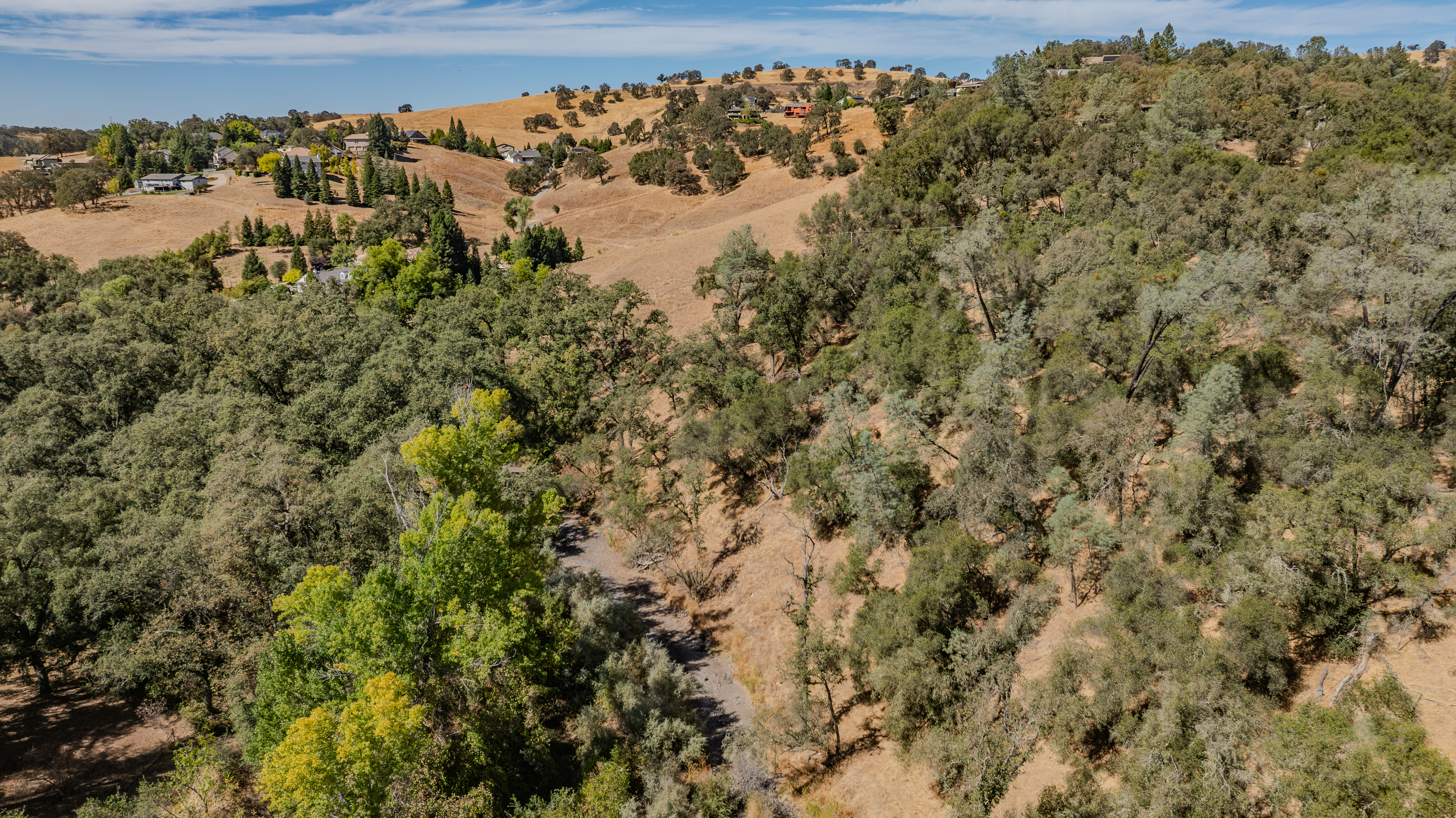  Creek Frontage - Views - Stroll to Downtown Sutter Creek - 物件實景