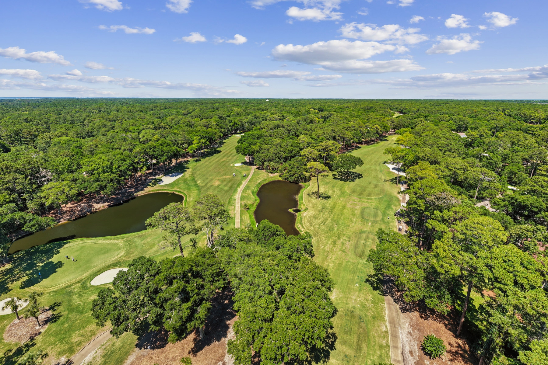  17 Balsams Court, Hilton Head Island - 物件實景