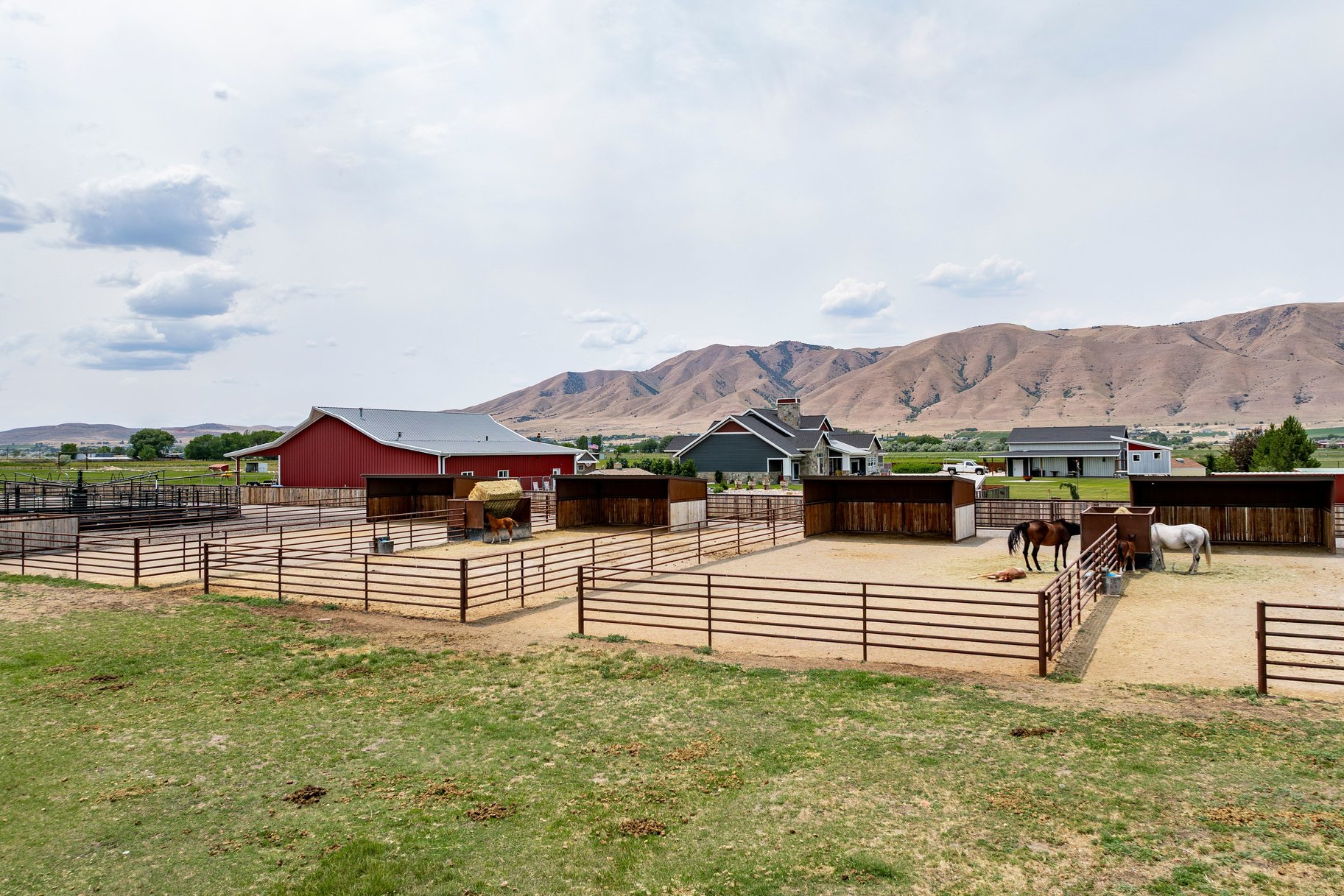  Refined Farmhouse Living with Professional Horse Facilities - 物件實景