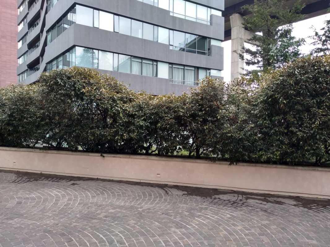 Toribio de Alcaraz, Cuajimalpa de Morelos, Ciudad de México, 05348, Mexico, 1 Bedroom Bedrooms, ,Residential,For Sale,Toribio de Alcaraz,1628393