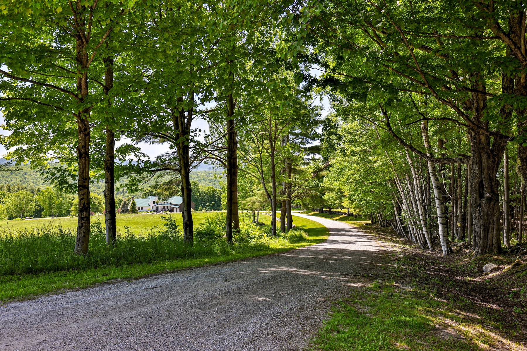  514 Robinson Road - 物件實景