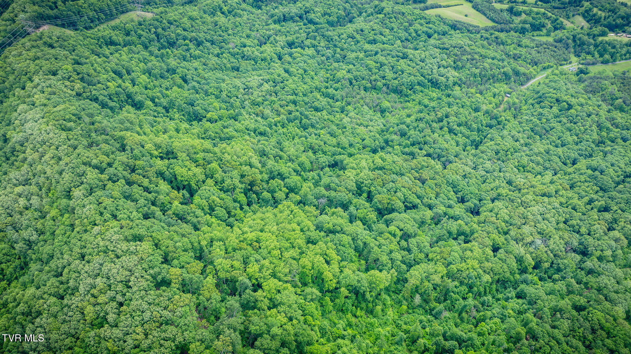 Kingsport, Tennessee, 37660, United States, 1 Bedroom Bedrooms, ,1 BathroomBathrooms,Residential,For Sale,1973991