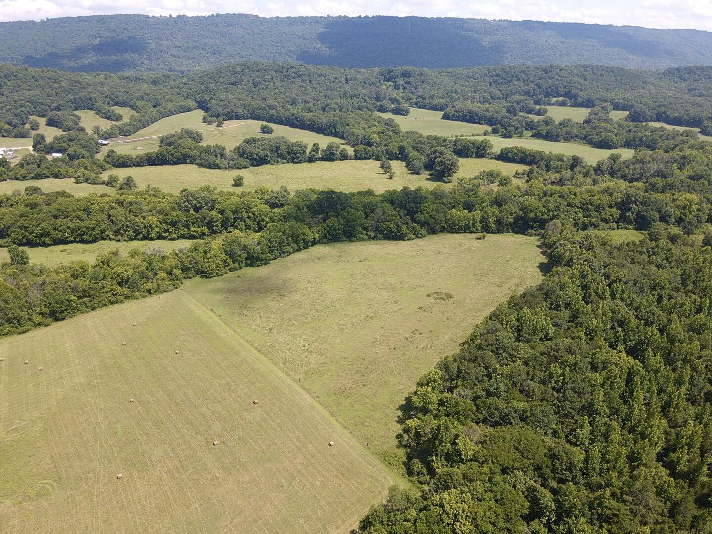 Bryant, Alabama, 35958, United States, ,Land,For Sale,1982684