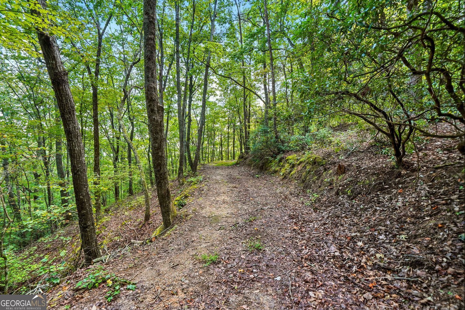 Waleska, Georgia, 30183, United States, ,Land,For Sale,1929808