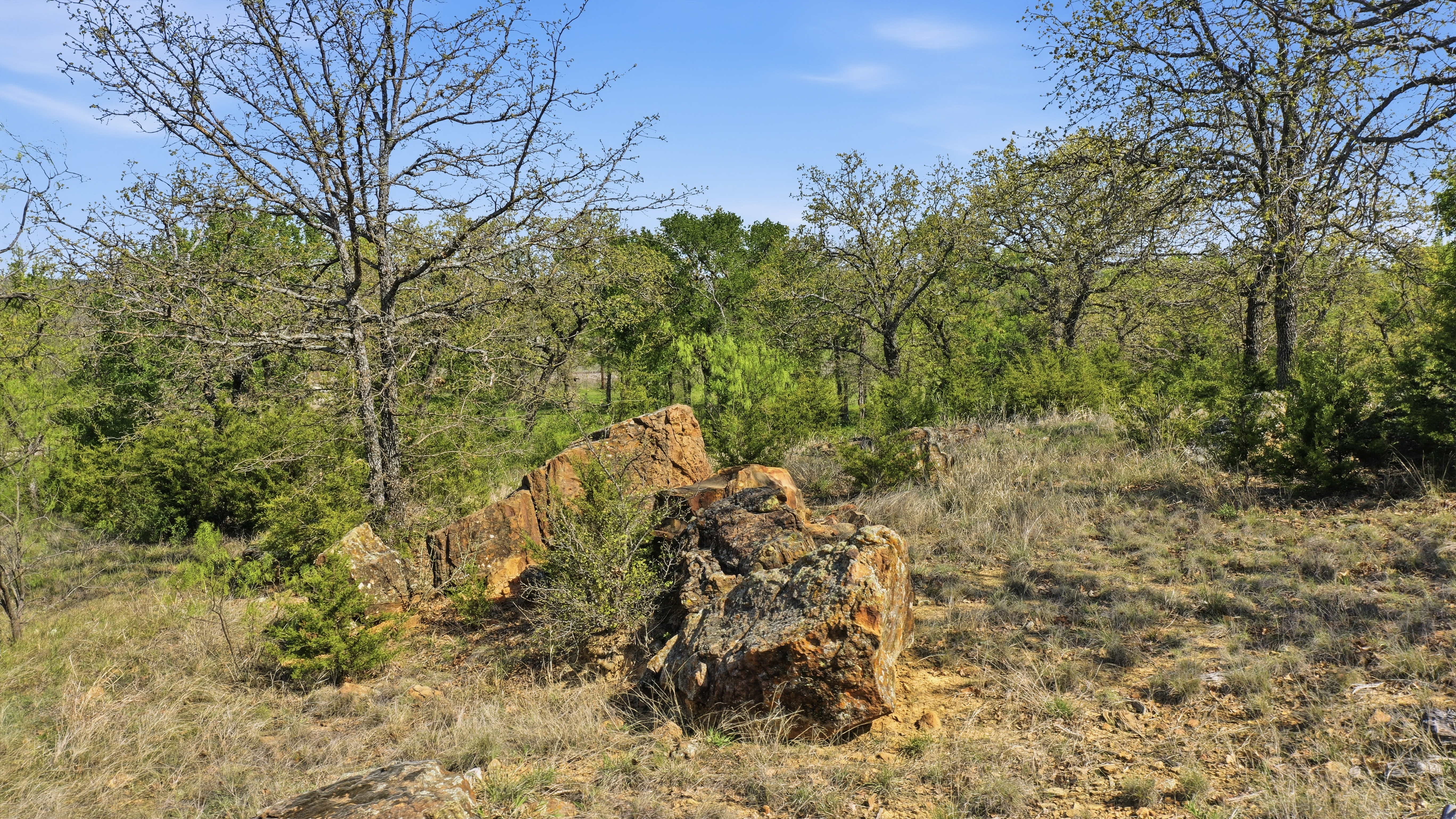  Space for Barns, Workshops, and Big Texas Dreams - 物件實景