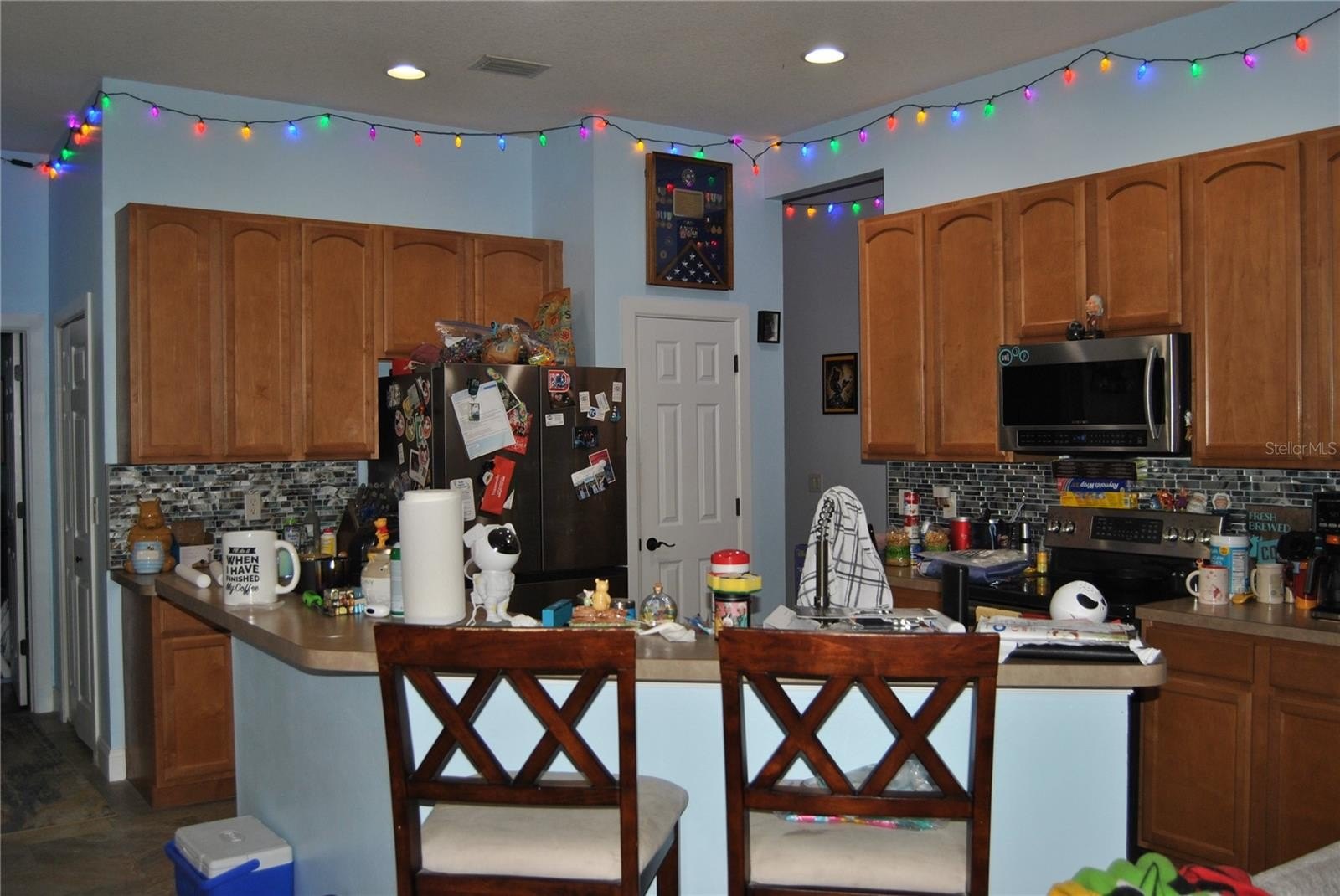 VALRICO, Florida, 33594, United States, 4 Bedrooms Bedrooms, ,3 BathroomsBathrooms,Residential,For Sale,1986127