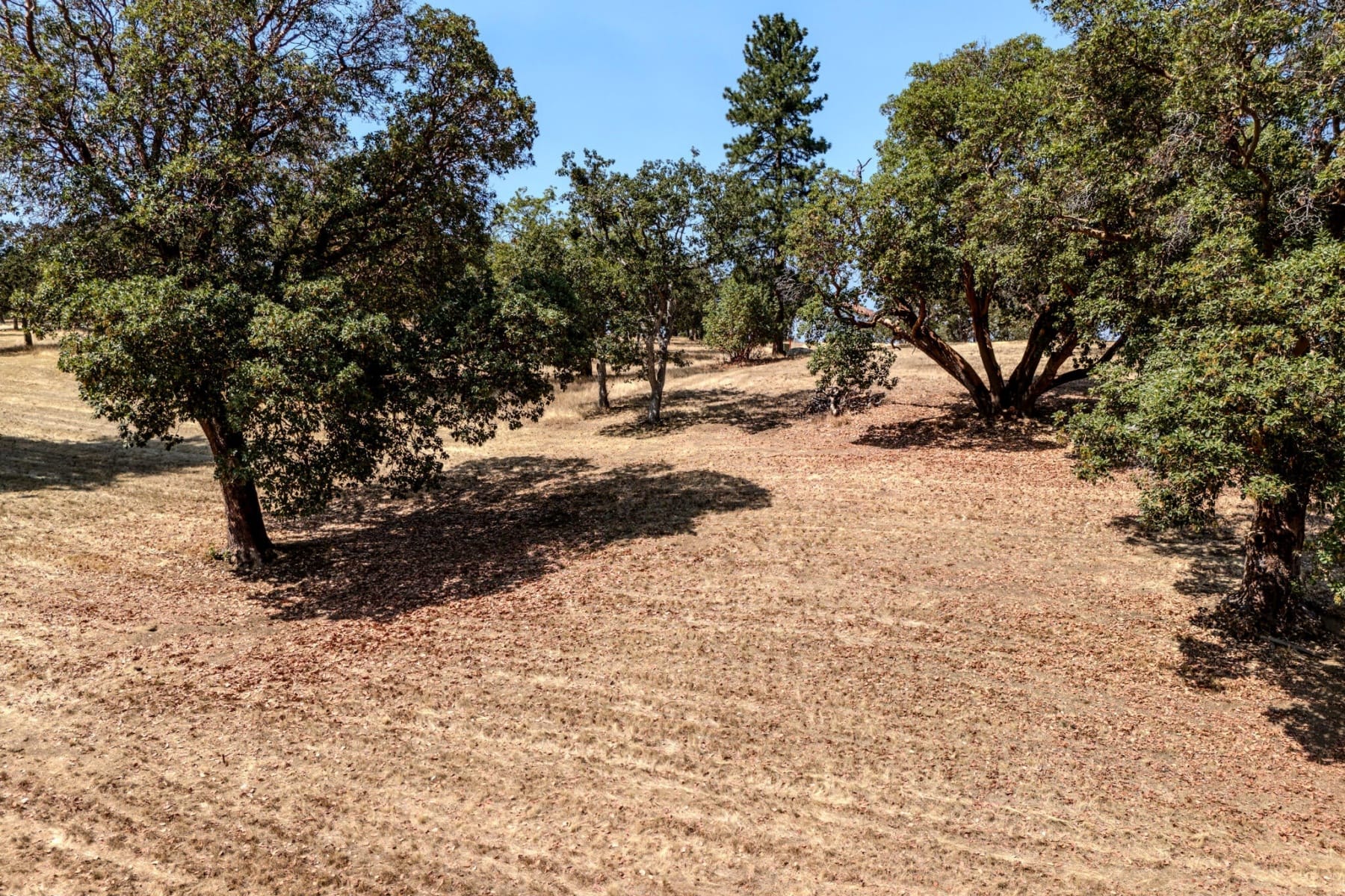  3563 S Stage Road #Lot 5 Medford, OR 97501 - 物件實景