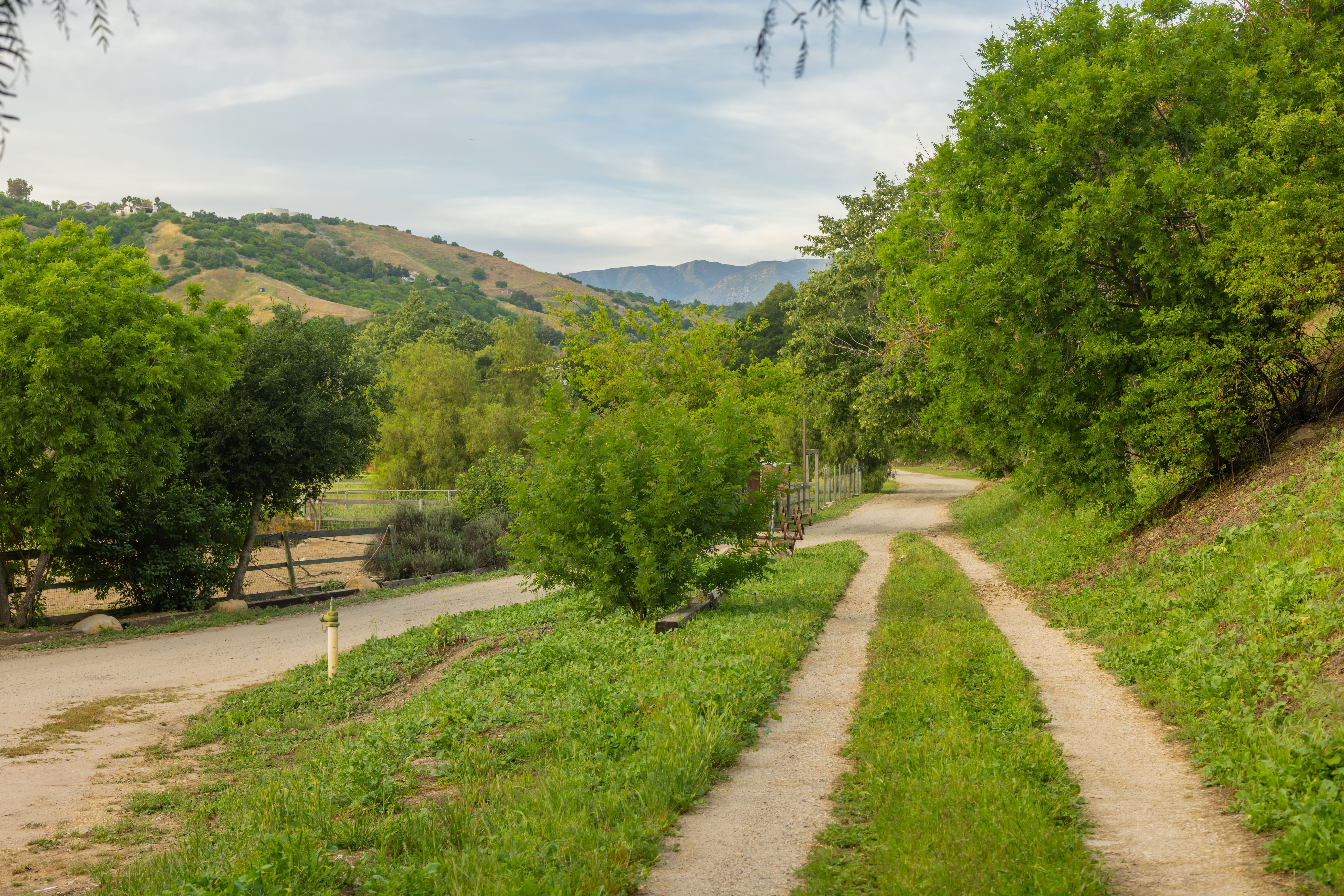  1345 Fraser Lane, Ojai, CA 93023 - 物件實景