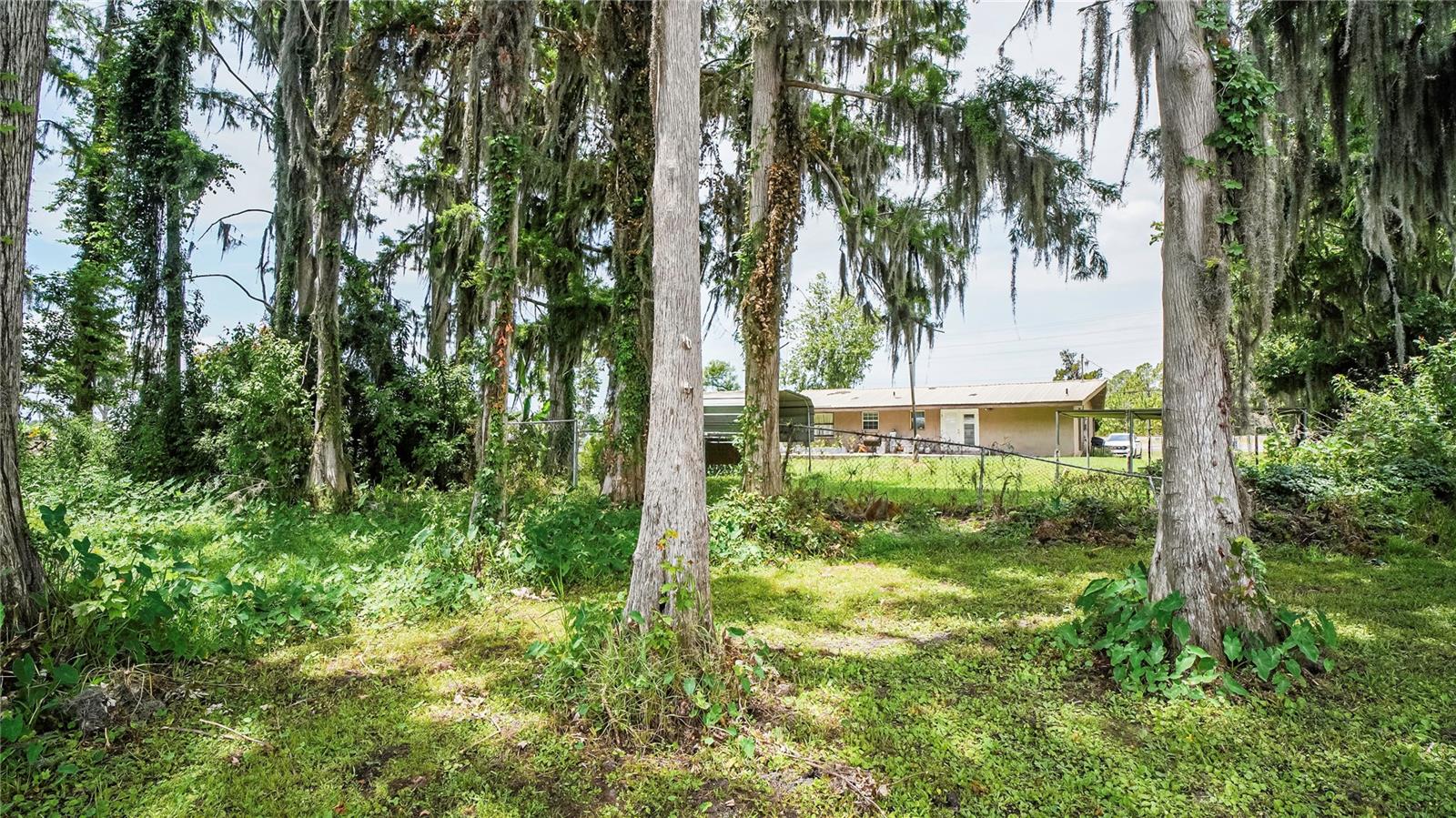 LAND O LAKES, Florida, 34638, United States, 3 Bedrooms Bedrooms, ,1 BathroomBathrooms,Residential,For Sale,1829291