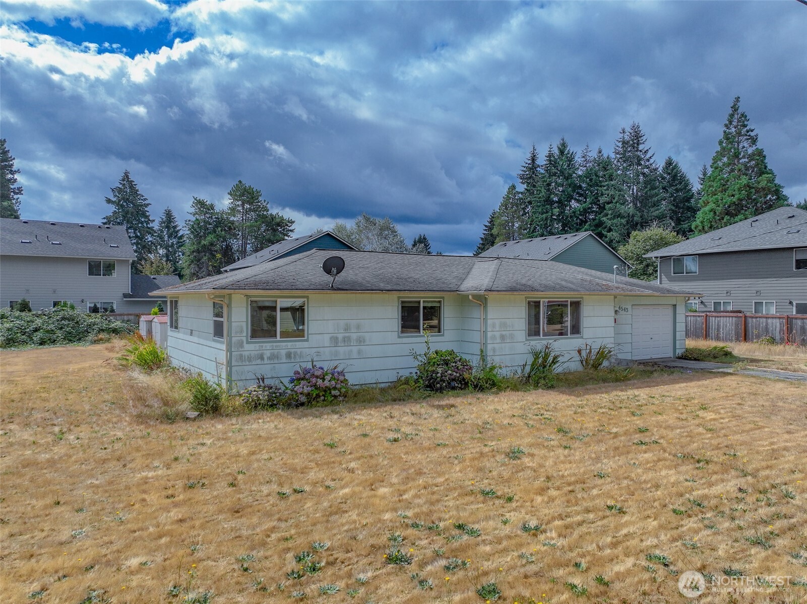 19th Ave, Lacey, WA 98503 #1