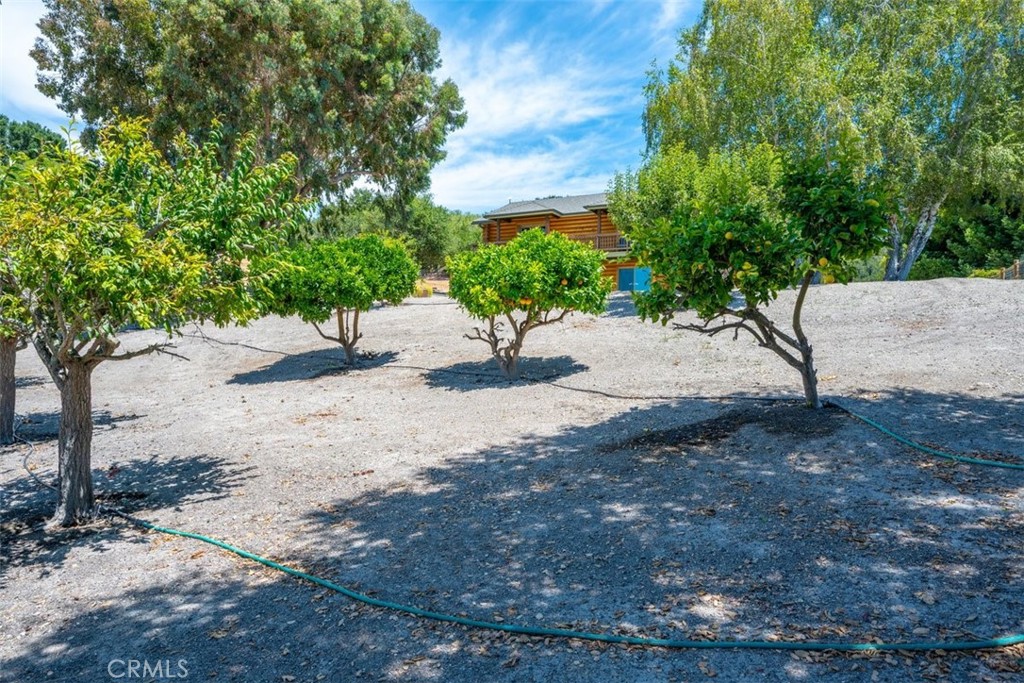 Arroyo Grande, California, 93420, United States, 4 Bedrooms Bedrooms, ,2 BathroomsBathrooms,Residential,For Sale,1976896