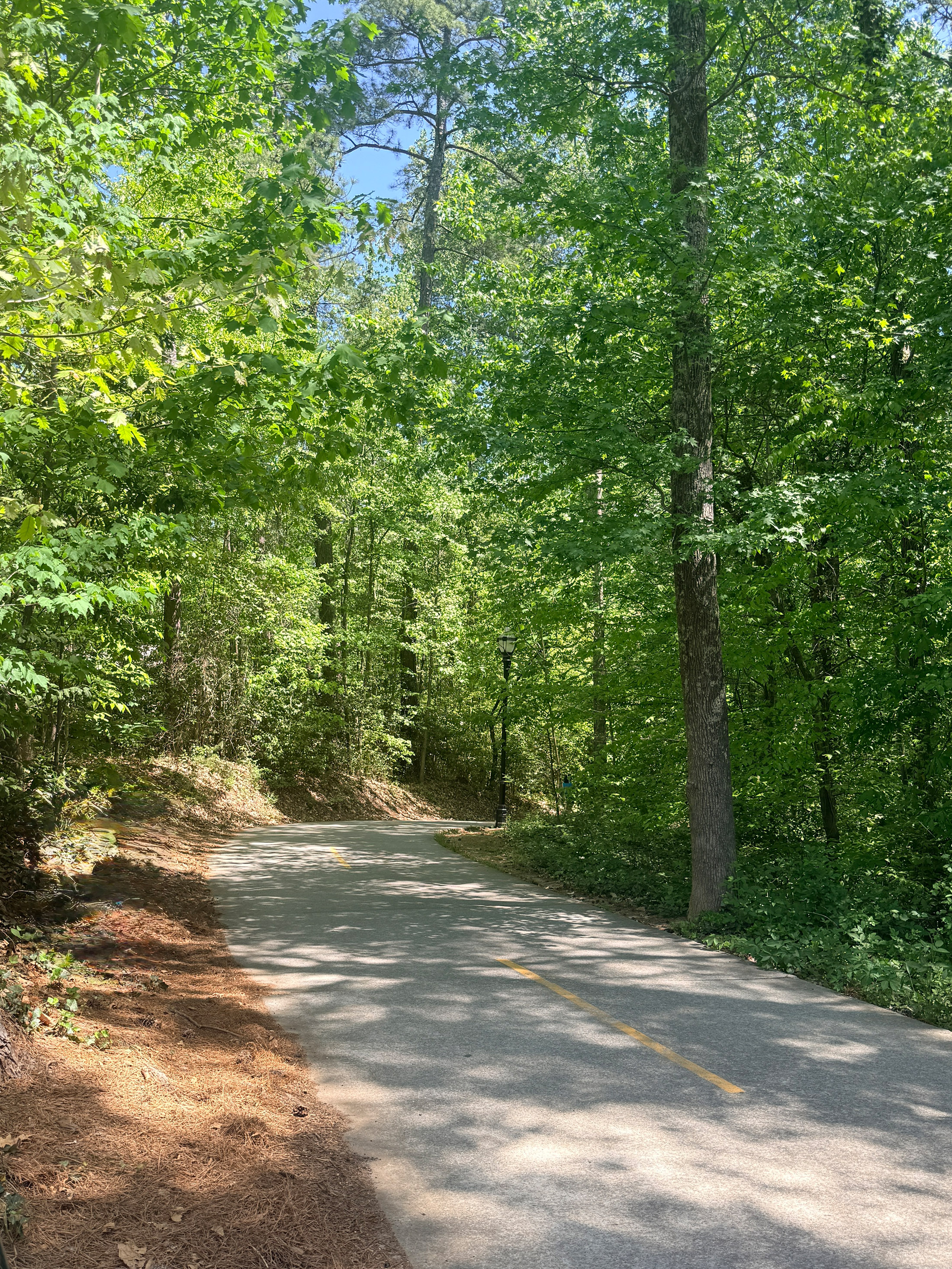  Standout Home in the Beloved Dunwoody North Neighborhood - 物件實景