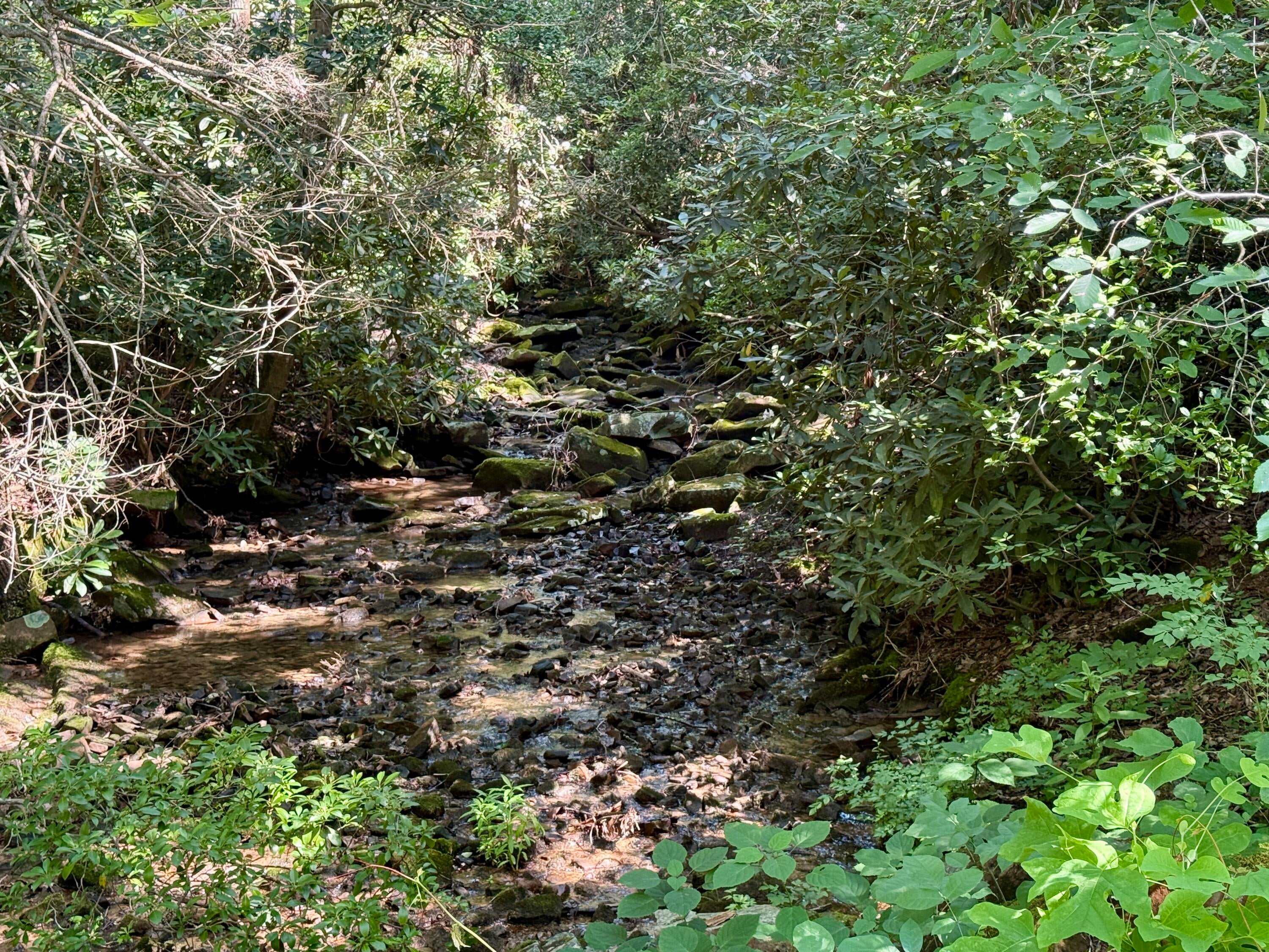 Dunlap, Tennessee, 37327, United States, ,Land,For Sale,1877286