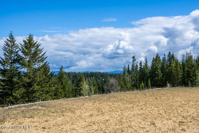 Coeur d'Alene, Idaho, 83814, United States, ,Residential,For Sale,1942579