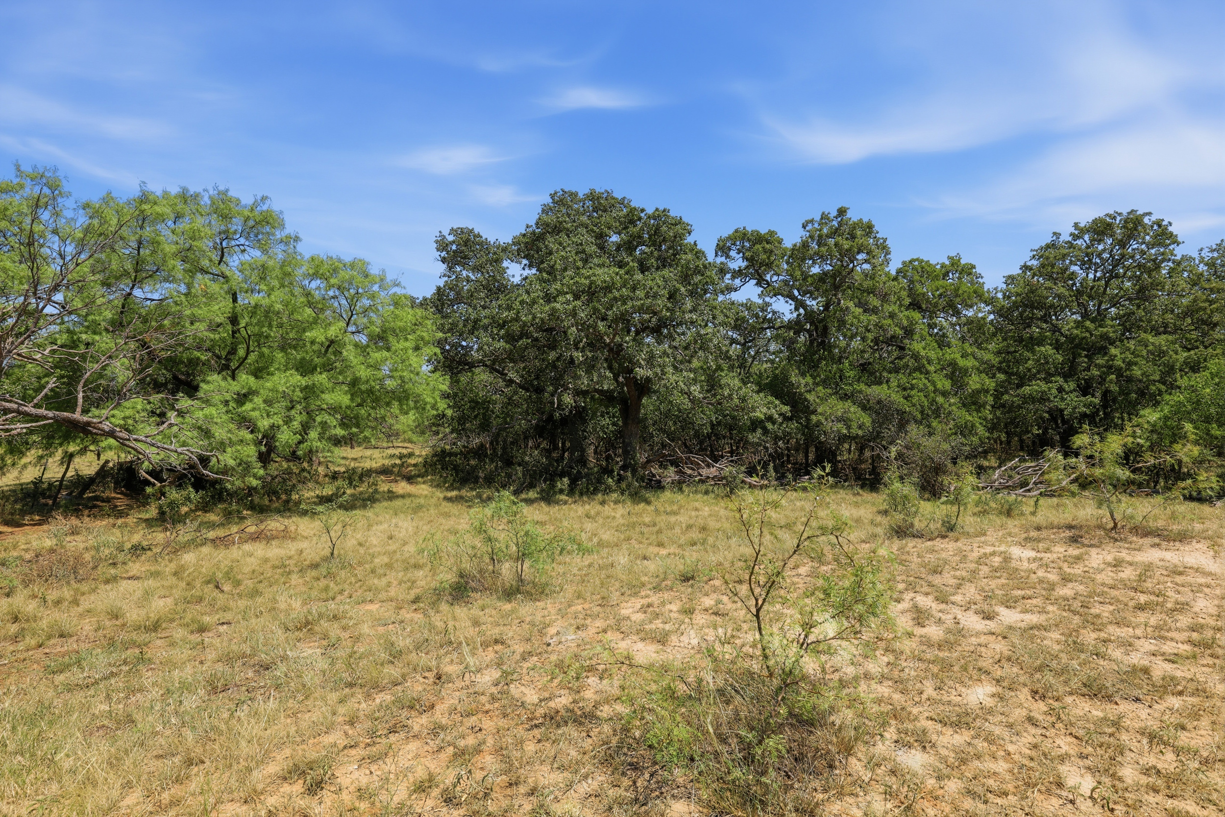  125 Acres of Texas Land for Recreation and Retreat - 物件實景