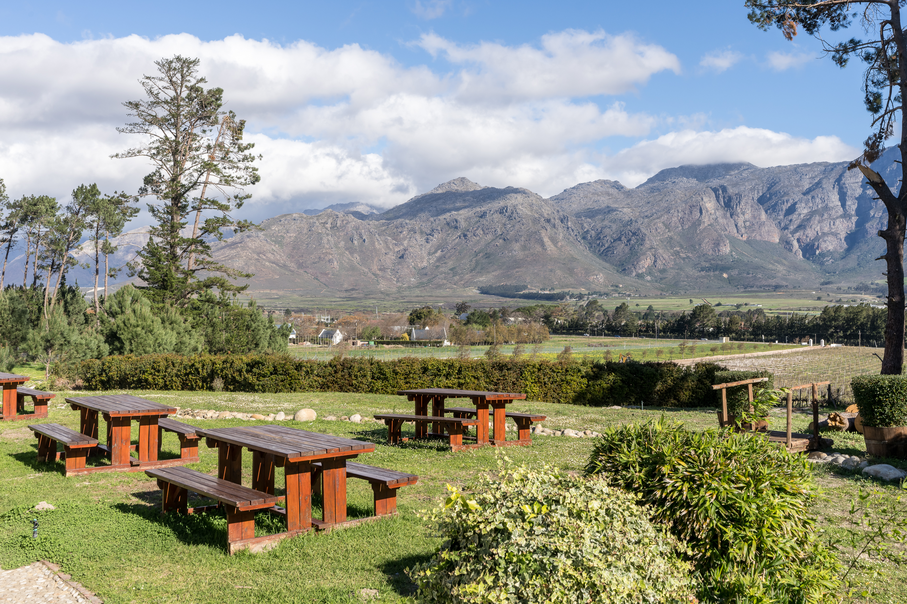  An Exceptional Boutique Wine Estate in the Heart of the Cape Winelands - 物件實景