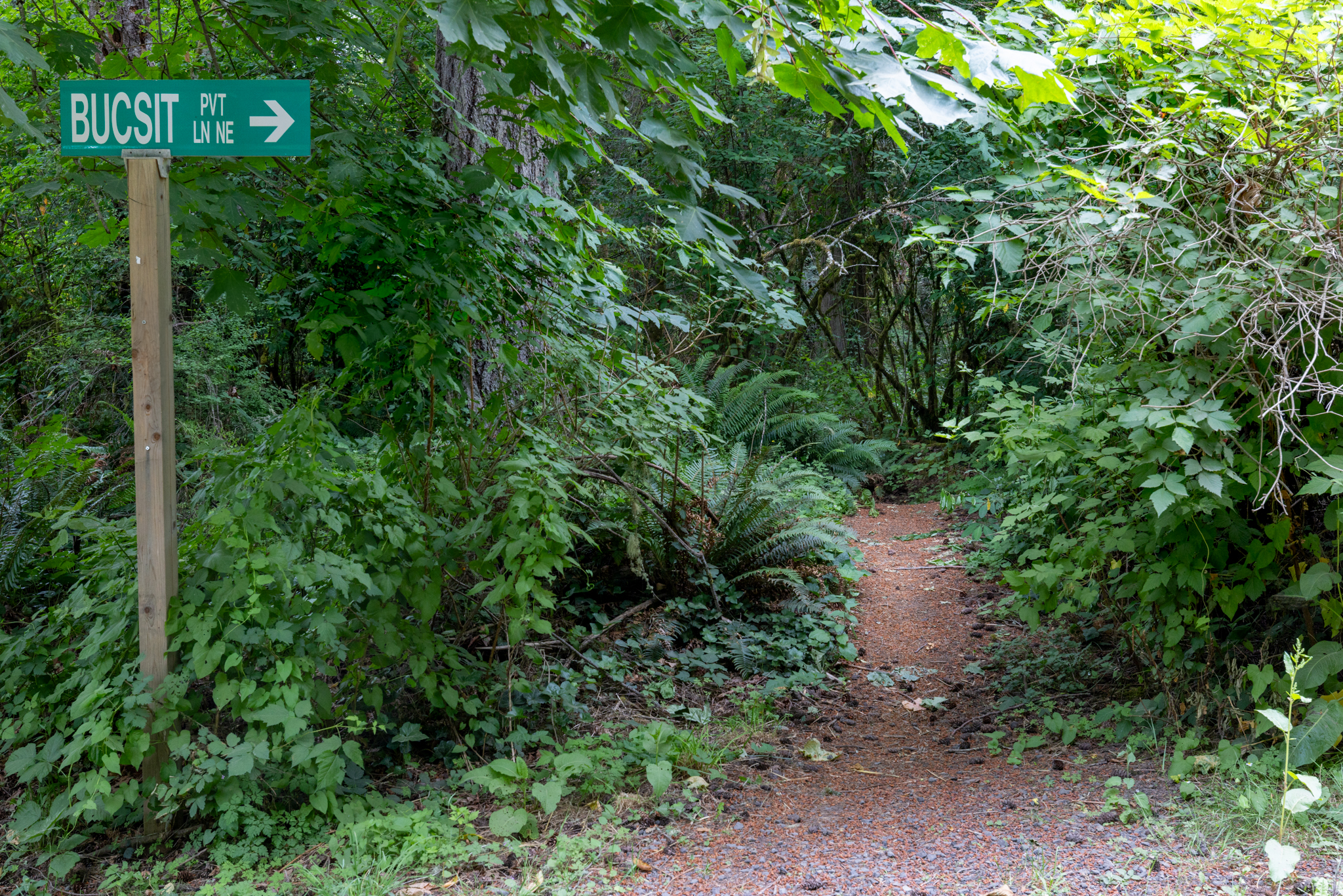  Lot A Bucsit Lane Northeast, Bainbridge Island, WA 98110 - 物件實景