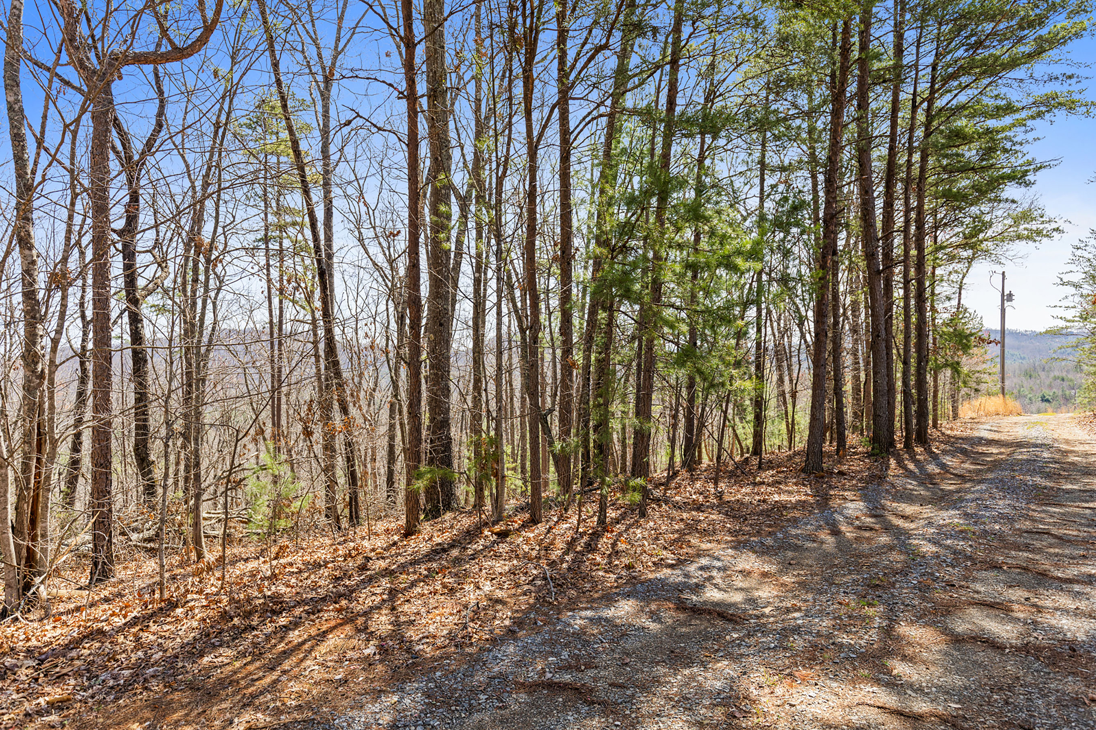  Stunning 1.56 Acre Lot in Hyde Creek - 物件實景