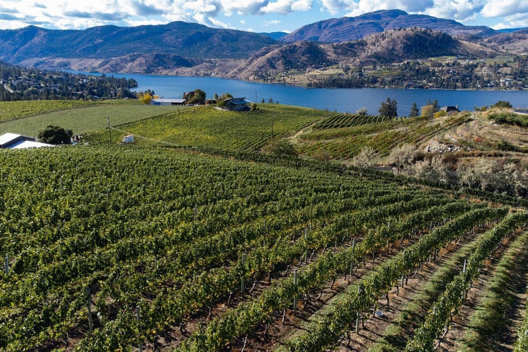 Boutique Okanagan Winery - 物件實景