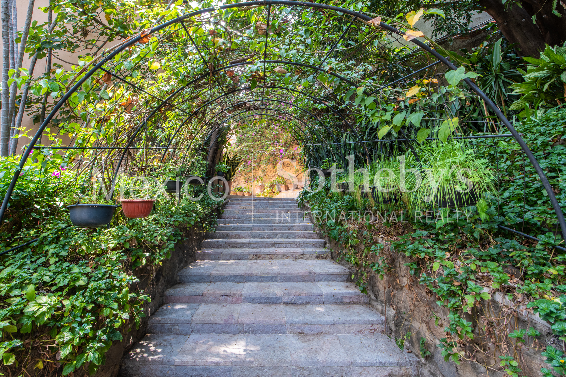  Casa Vergel Cuernavaca - 物件實景