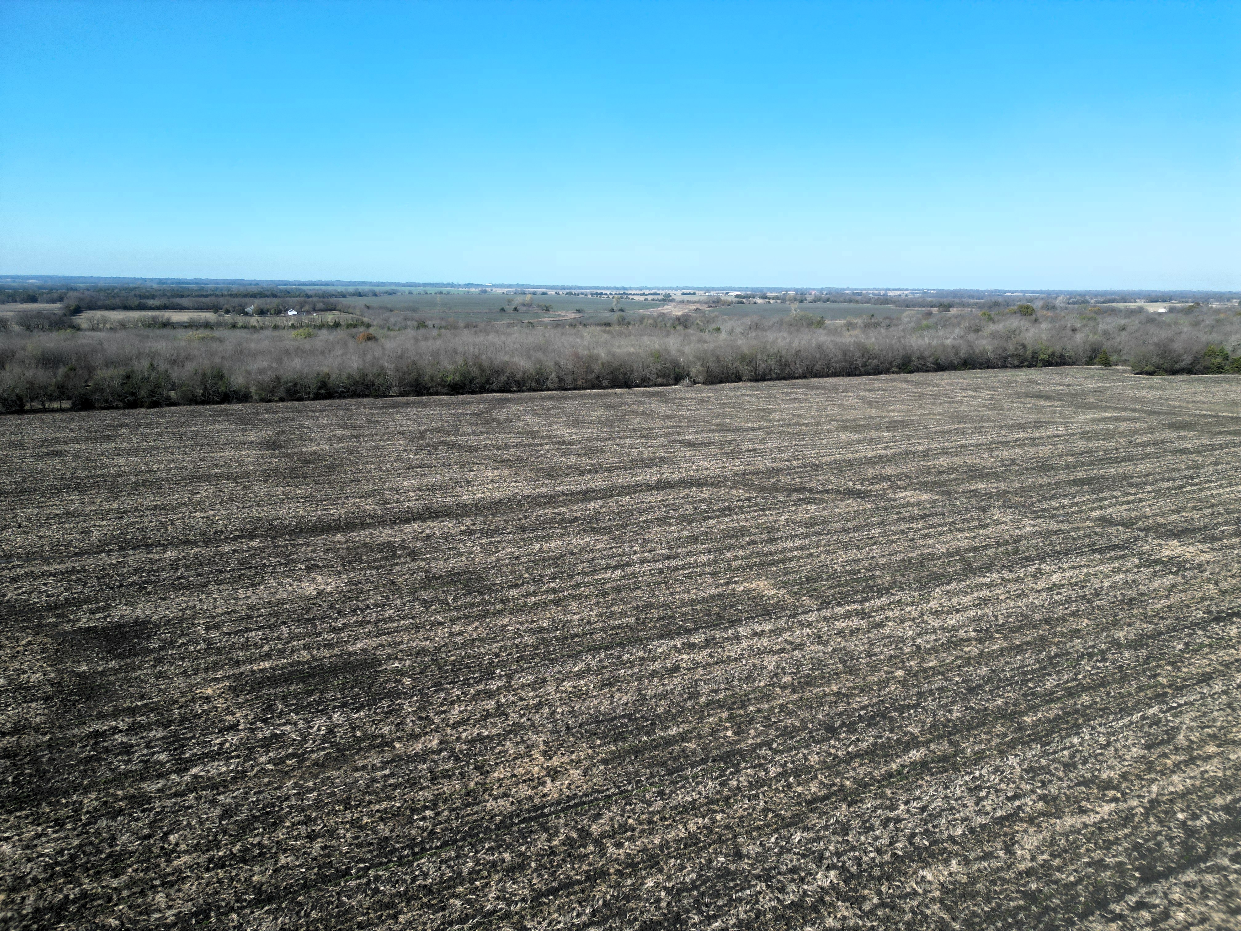 Commerce, Texas, 75428, United States, ,Land,For Sale,2001483