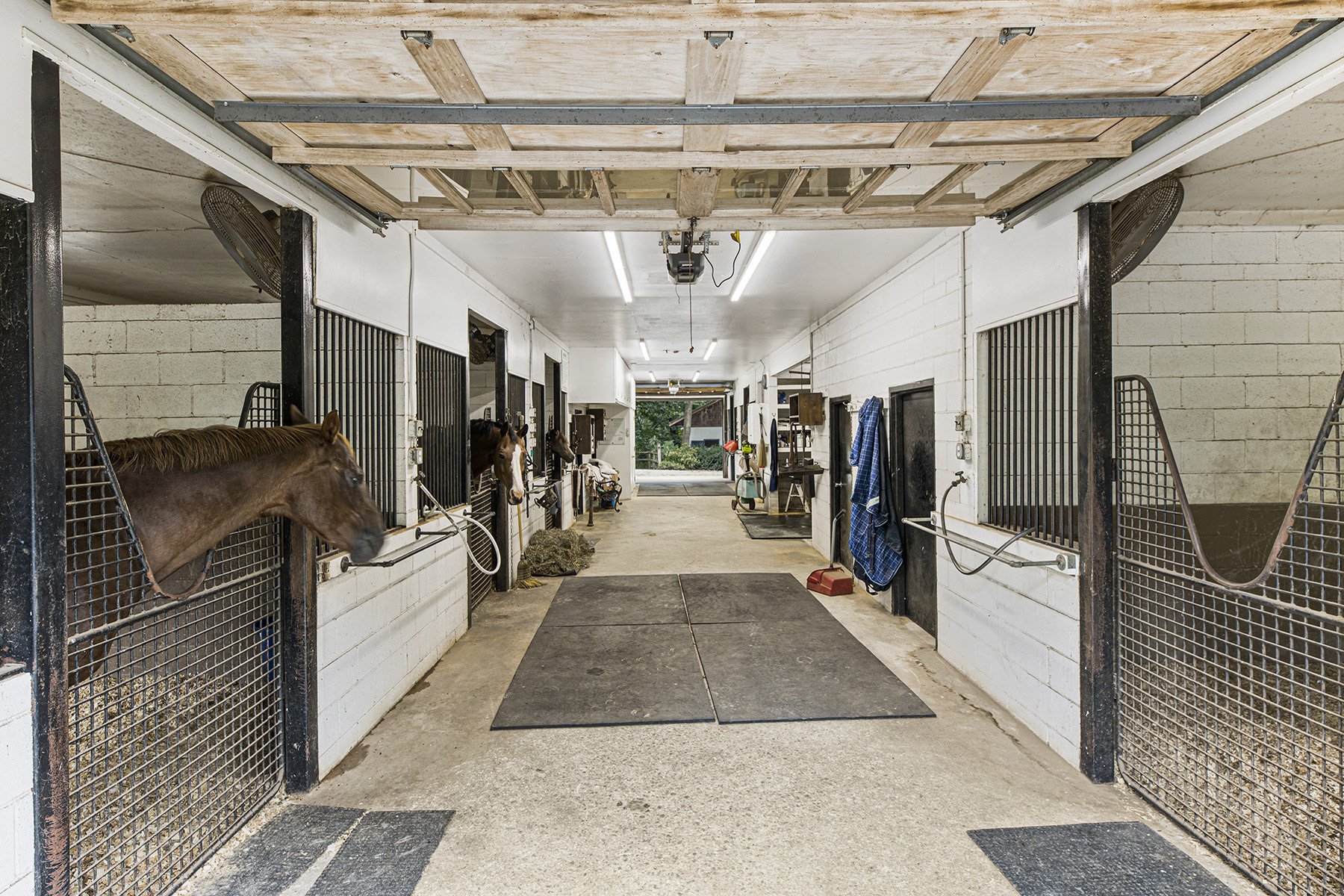  Absolute Perfection - 70± Acre Equestrian Farm with Rolling Pastureland - 物件實景