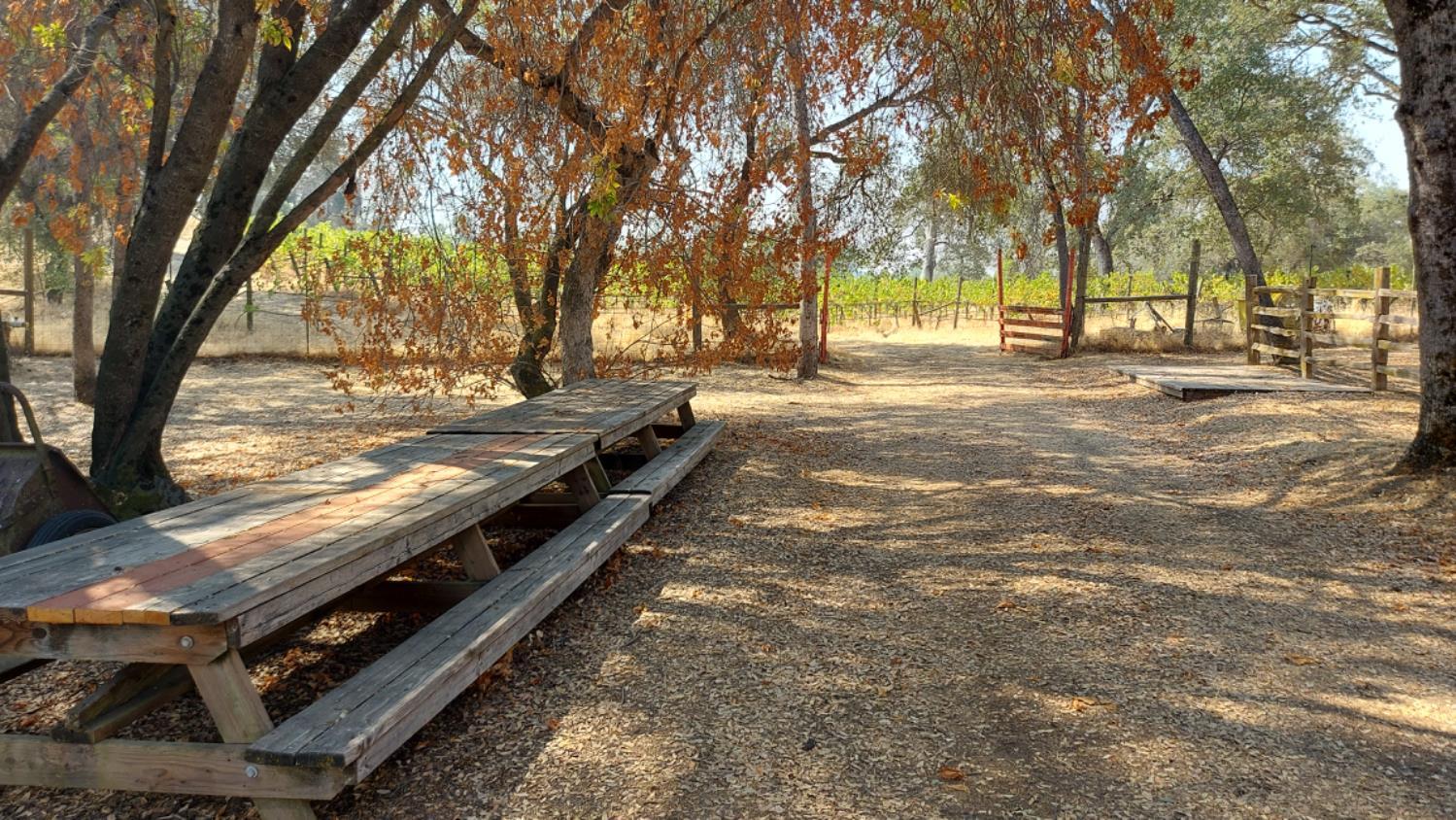 O Neals, California, 93645, United States, 3 Bedrooms Bedrooms, ,2 BathroomsBathrooms,Residential,For Sale,1981771