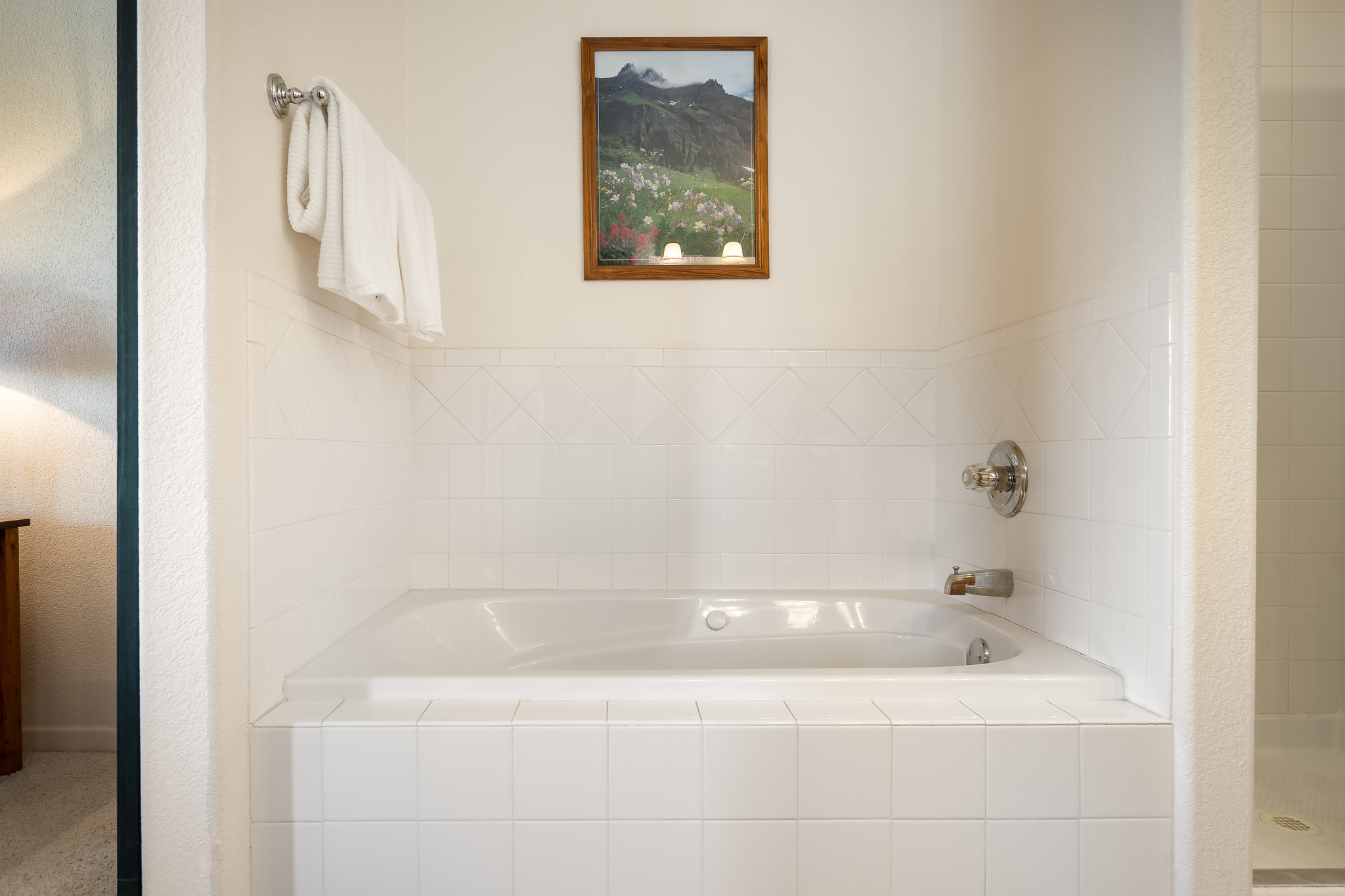  787 Mulligan Street, #5, Fraser, CO, 80442 - 物件實景