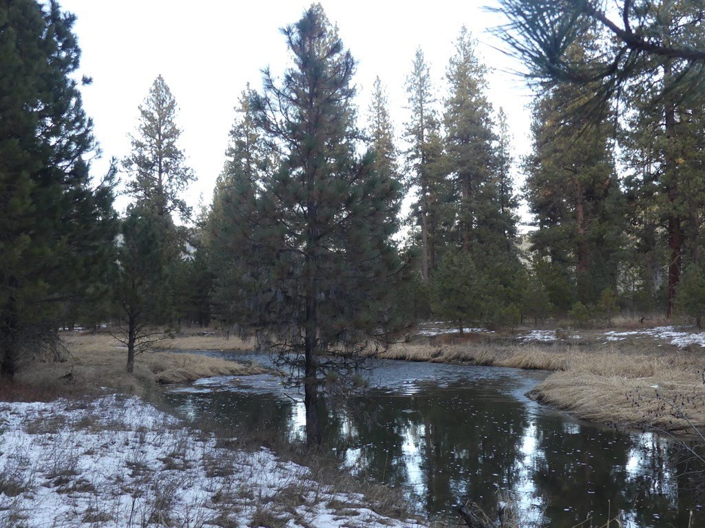 New Meadows, Idaho, 83654, United States, ,Land,For Sale,2005639